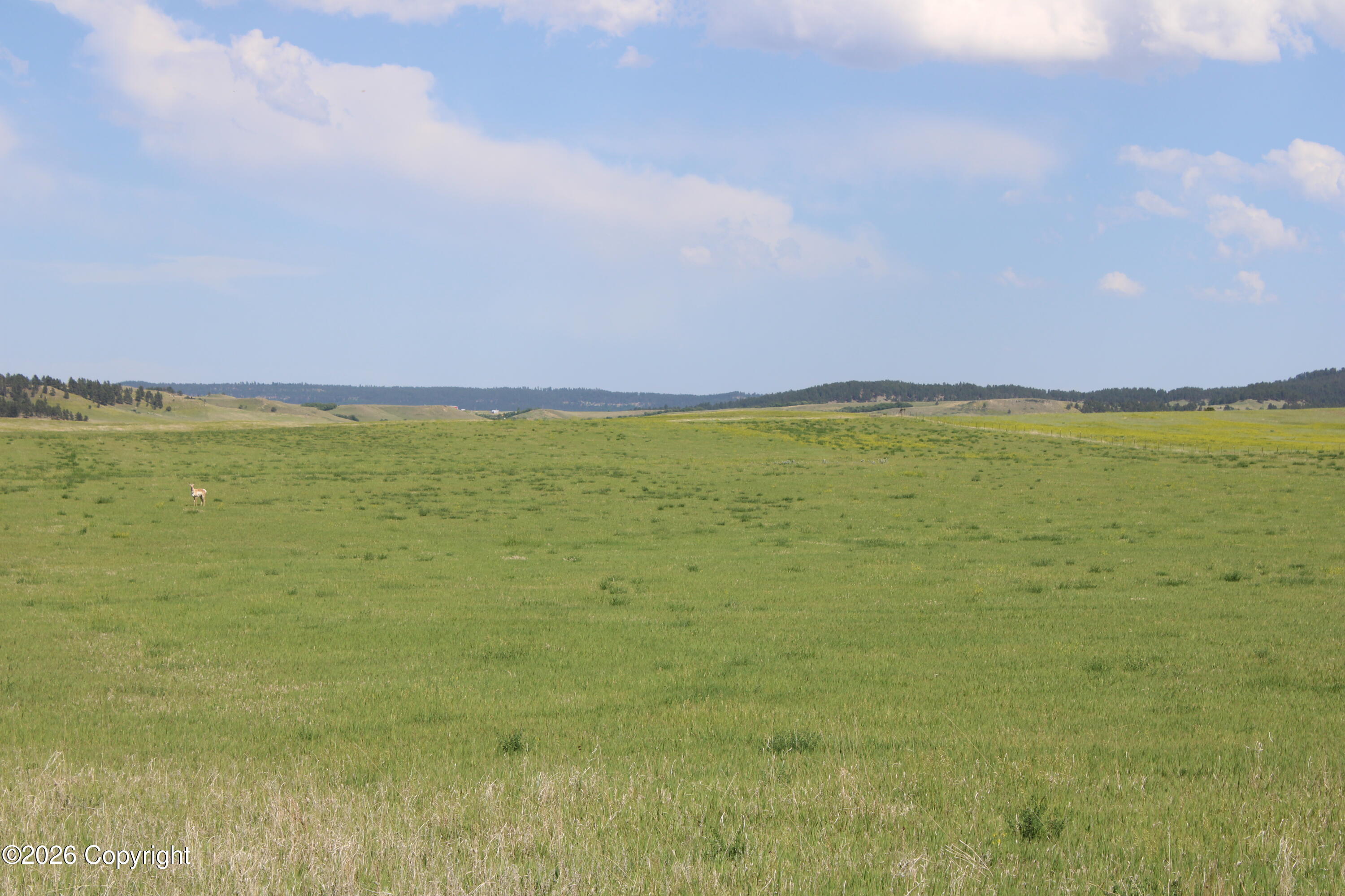 12 River Road Hulett, WY 82720 - Photo 17 of 23 Gallery Image 17