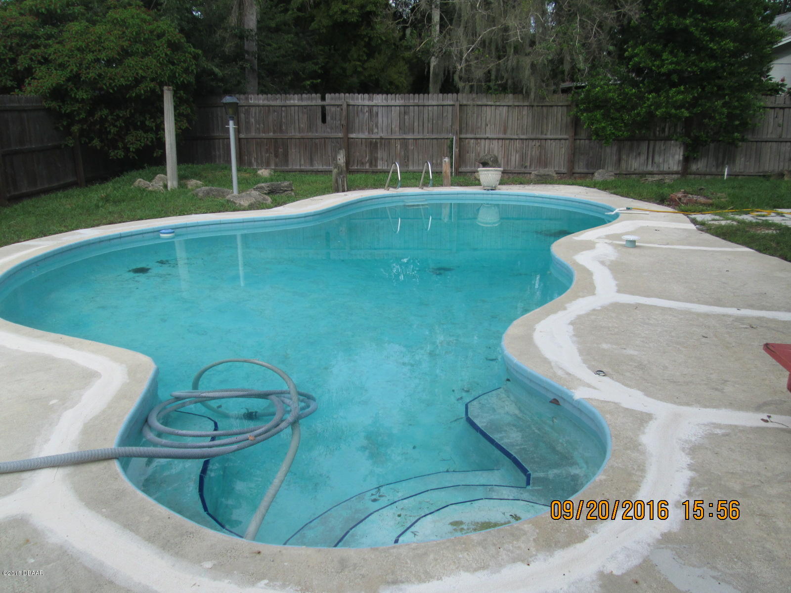 826 Reed Canal Road South Daytona, FL 32119 - Photo 2 of 12 pool