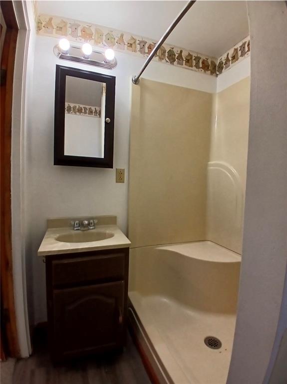 231 Rinne Street Pittsburgh, PA 15210 - Photo 11 of 24 a bathroom with a sink and mirror