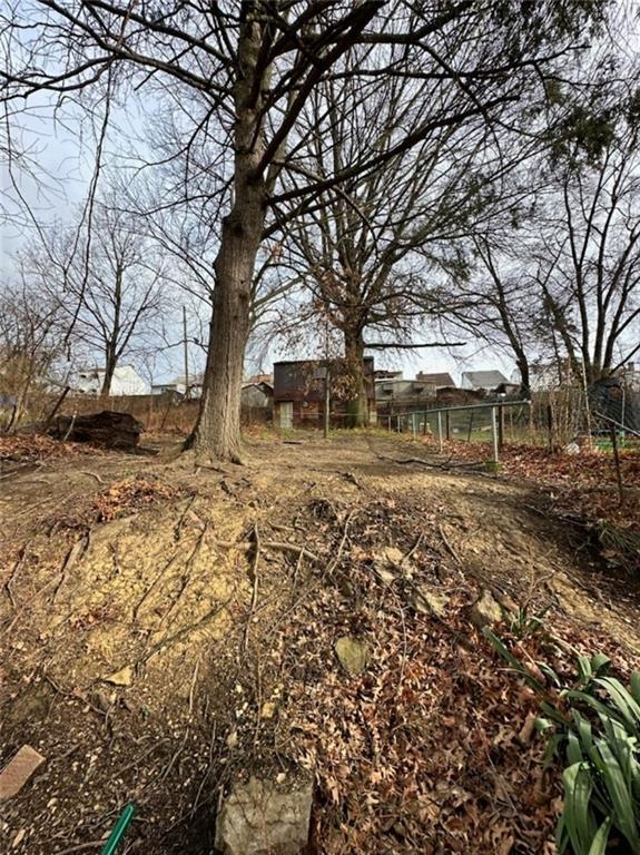 231 Rinne Street Pittsburgh, PA 15210 - Photo 24 of 24 a view of yard with tree