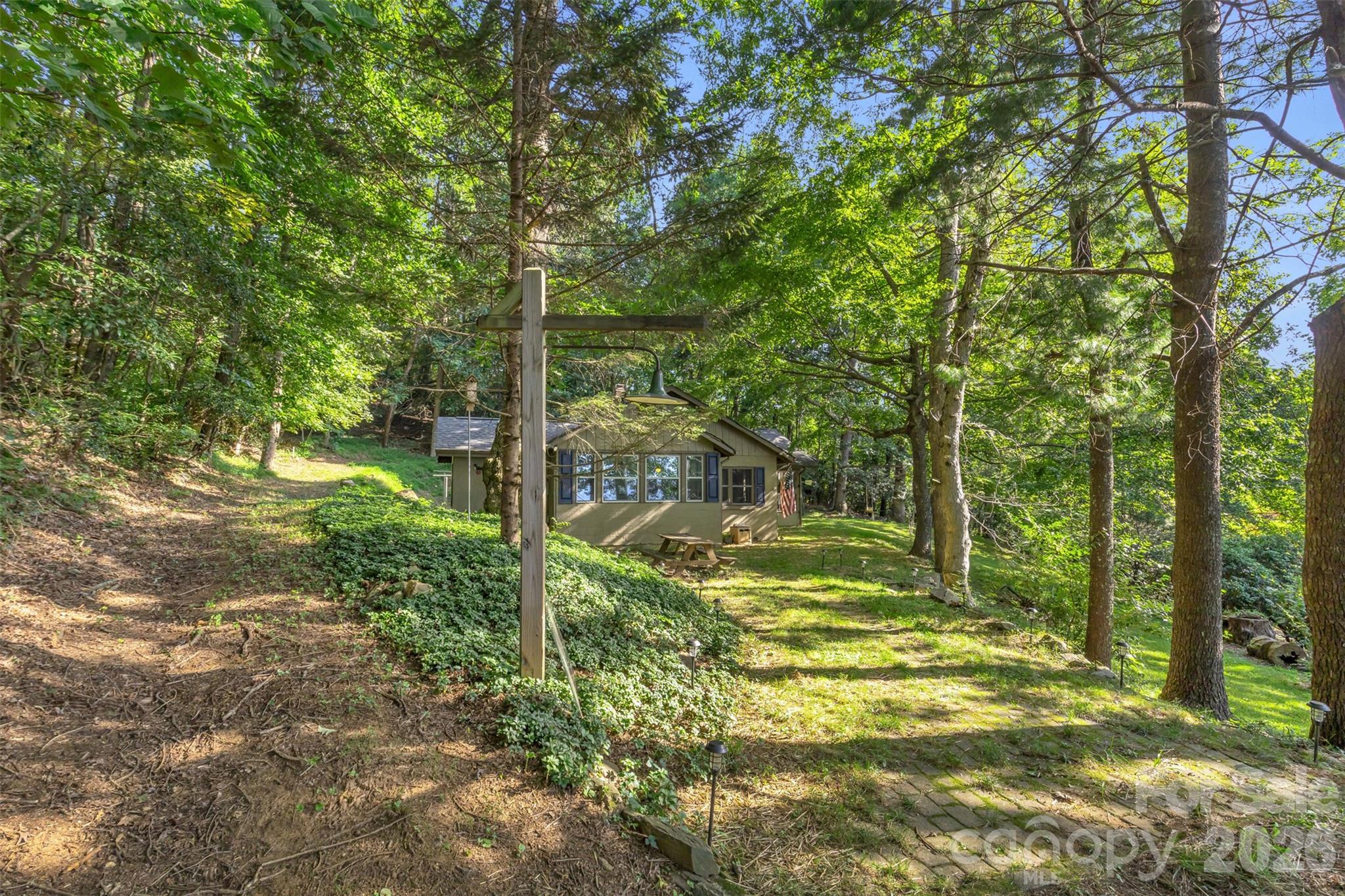 3605 Skyuka Mountain Road Columbus, NC 28722 - Photo 25 of 48 a view of a yard with large trees