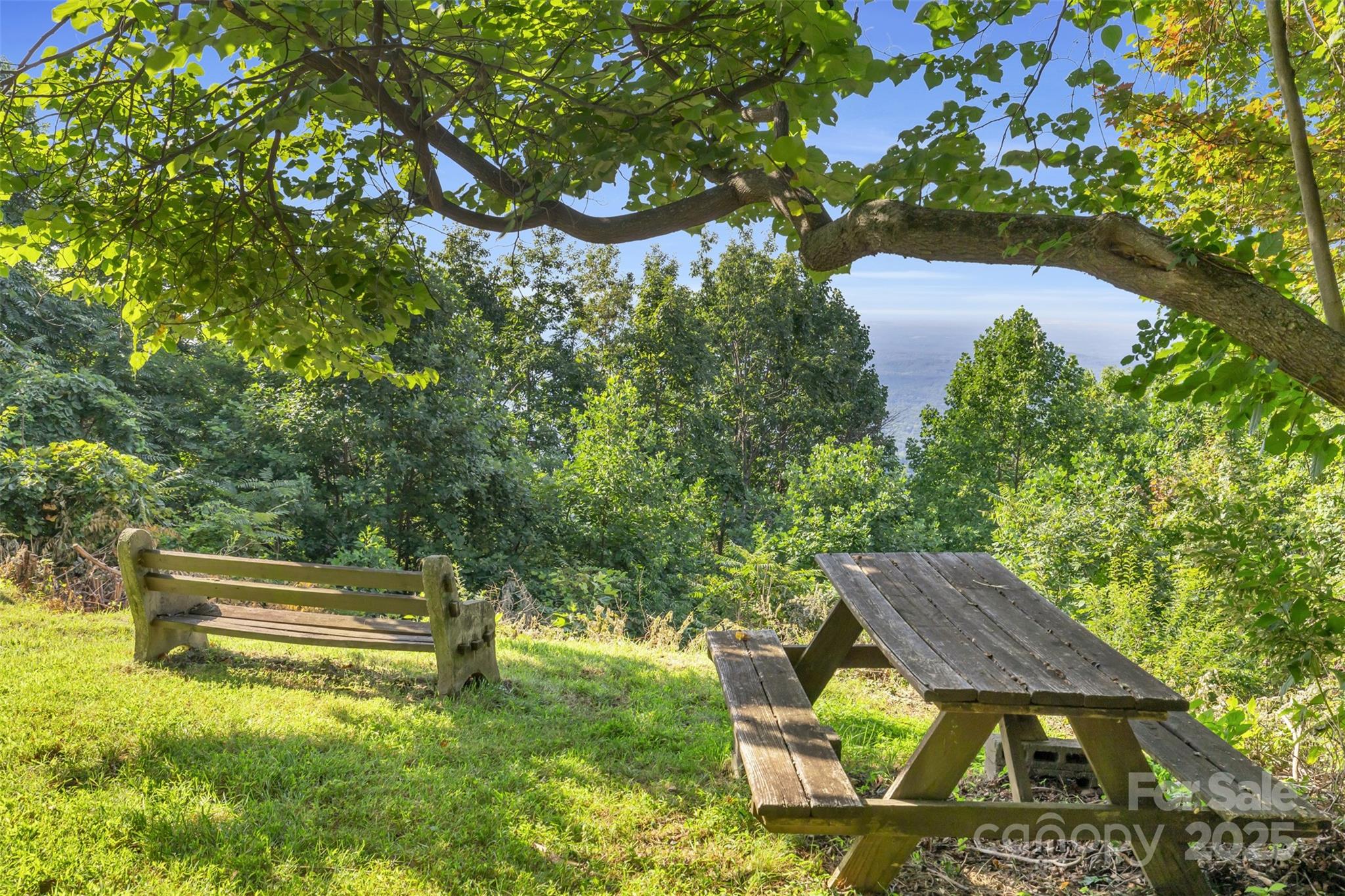 3605 Skyuka Mountain Road Columbus, NC 28722 - Photo 27 of 46 a backyard of a house with yard and outdoor seating