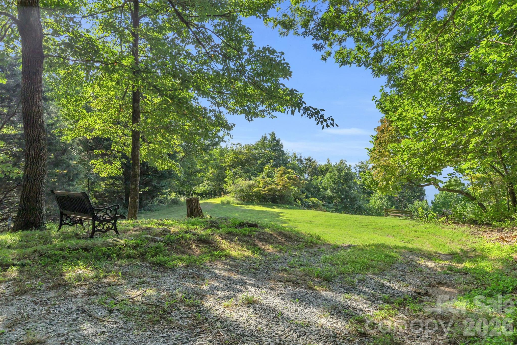 3605 Skyuka Mountain Road Columbus, NC 28722 - Photo 27 of 48 a green field with lots of trees in it