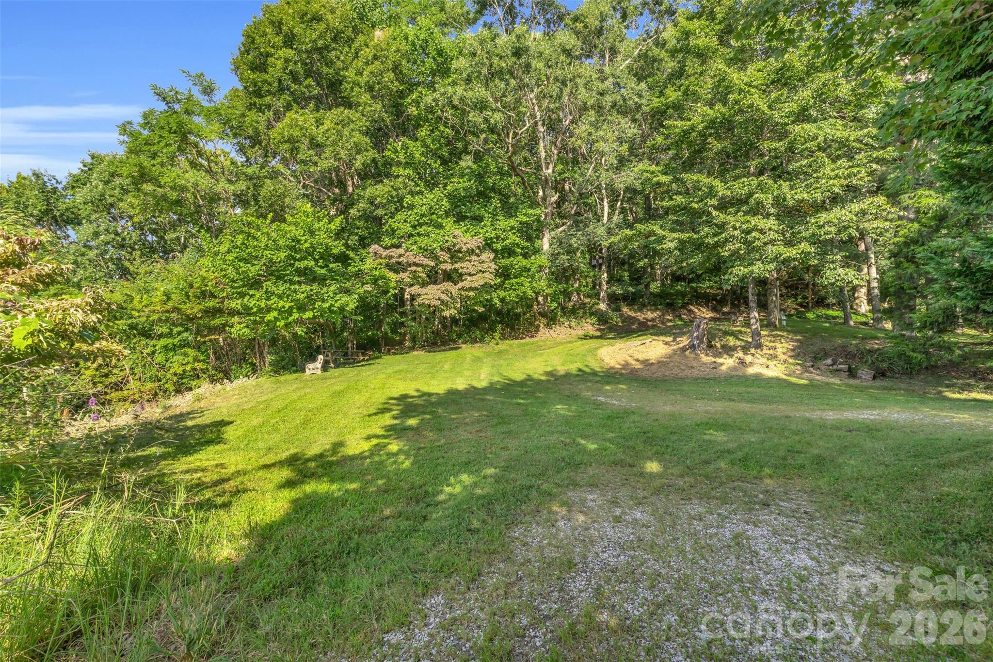 3605 Skyuka Mountain Road Columbus, NC 28722 - Photo 31 of 48