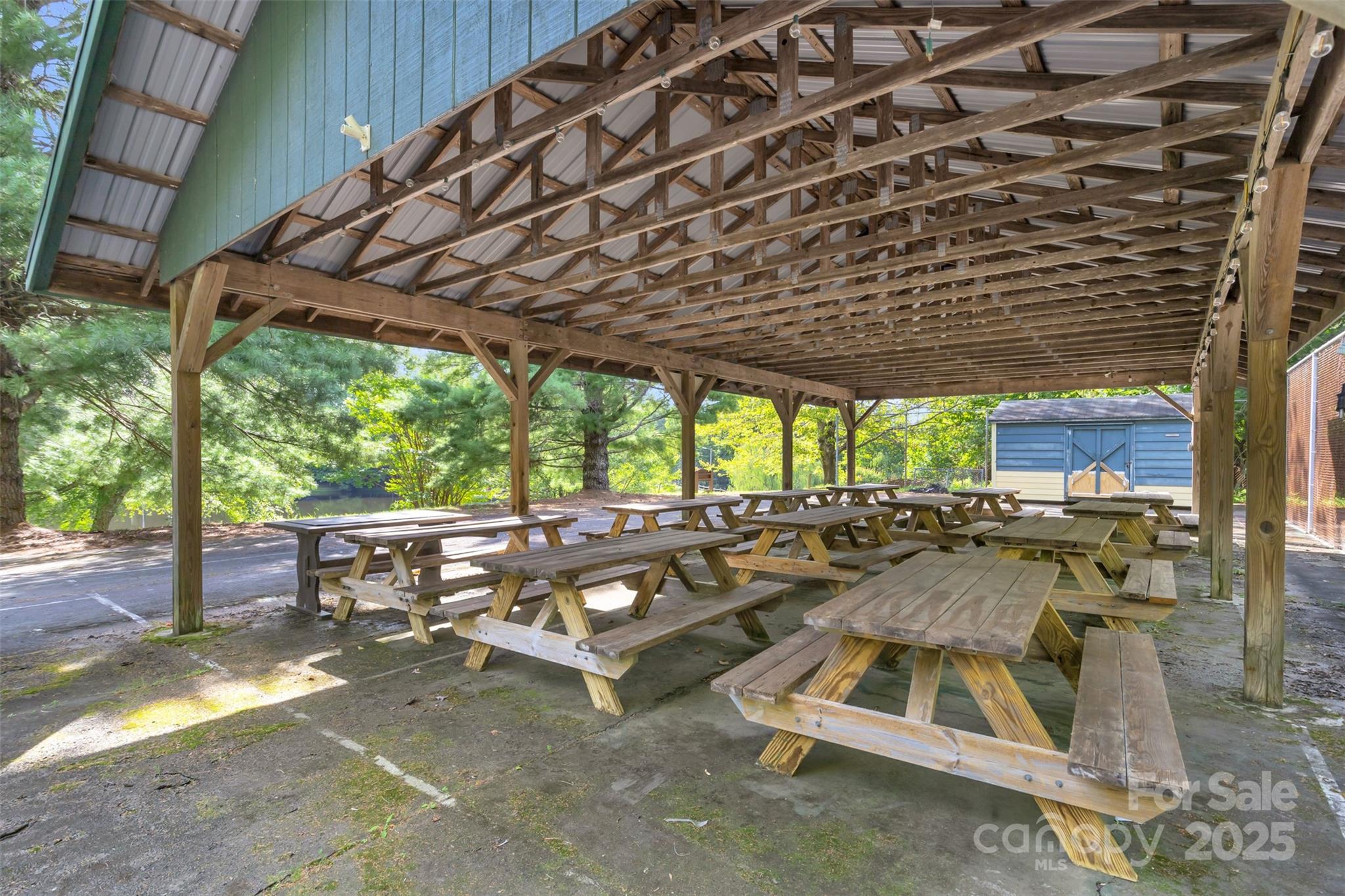 3605 Skyuka Mountain Road Columbus, NC 28722 - Photo 34 of 46 a view of yard with patio