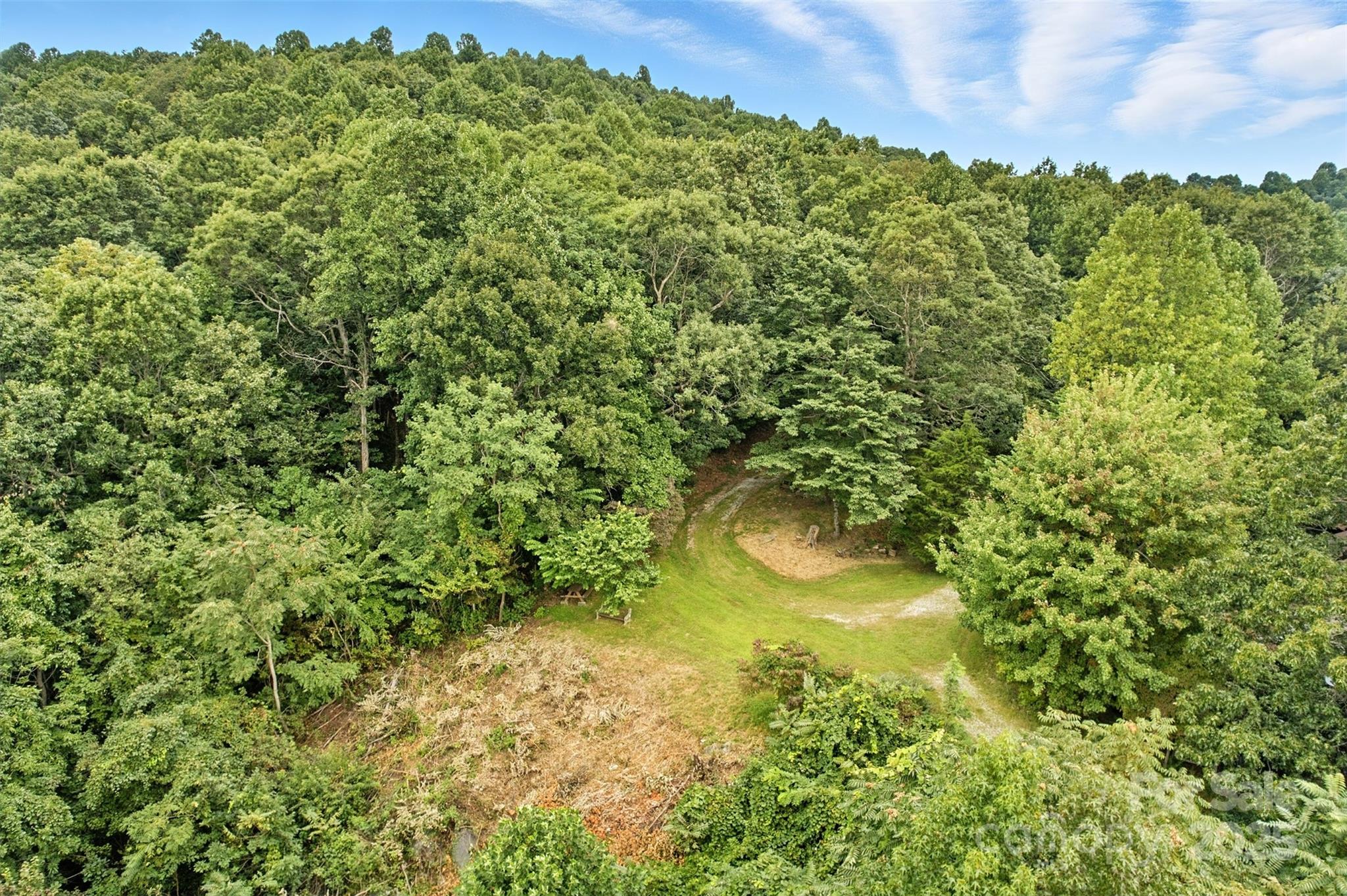 3605 Skyuka Mountain Road Columbus, NC 28722 - Photo 38 of 46 a view of a garden