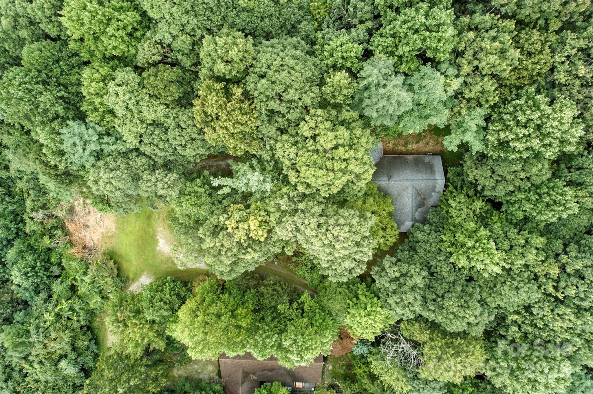 3605 Skyuka Mountain Road Columbus, NC 28722 - Photo 40 of 46 a view of a garden from a house