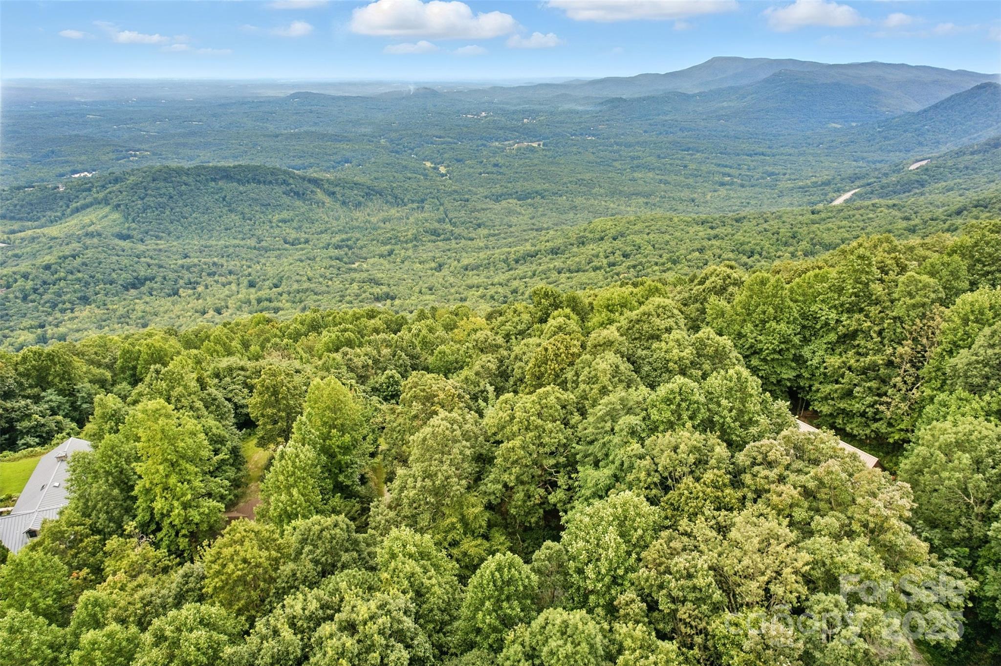 3605 Skyuka Mountain Road Columbus, NC 28722 - Photo 41 of 46 a view of a pathway both side of yard
