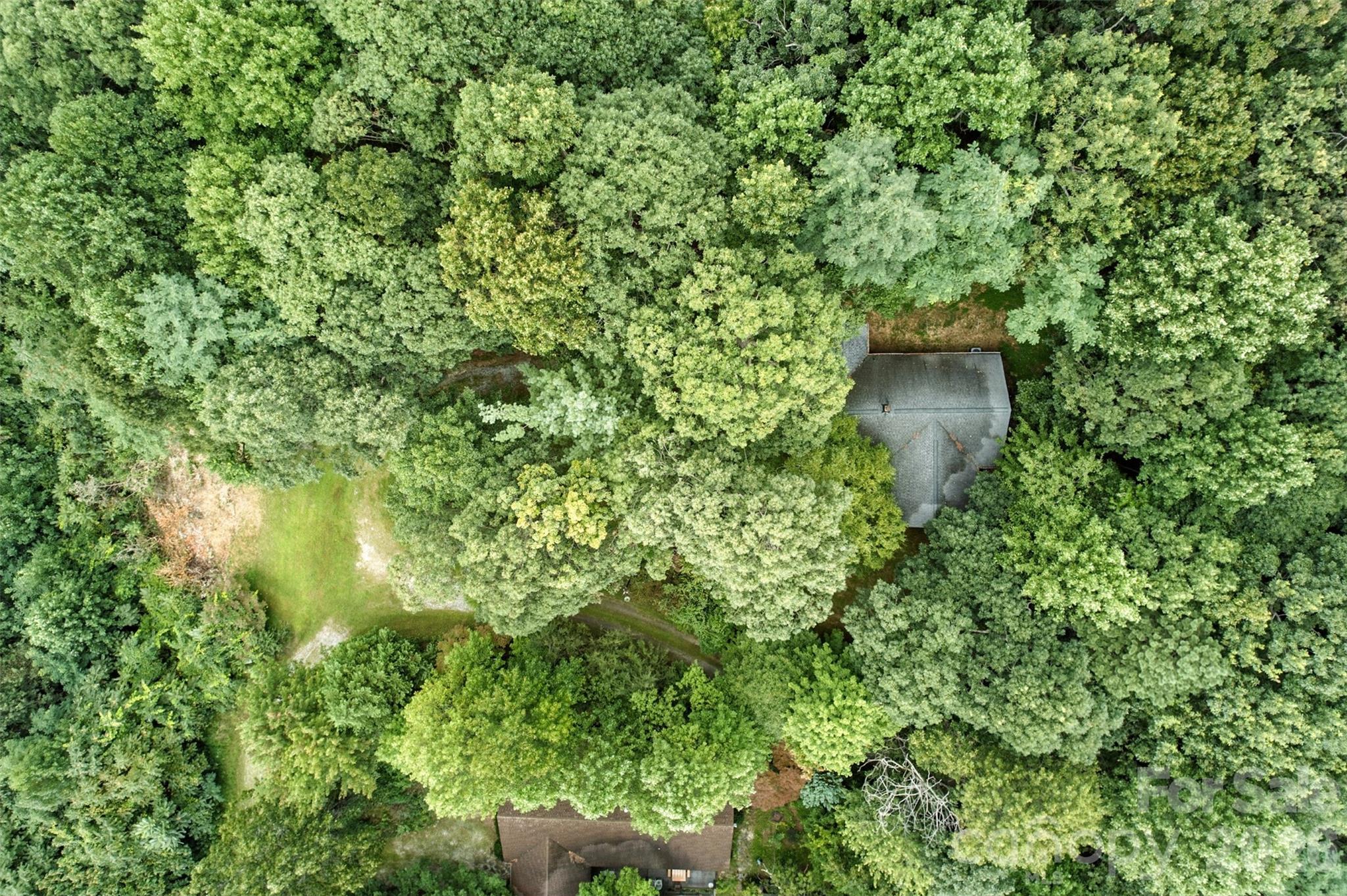 3605 Skyuka Mountain Road Columbus, NC 28722 - Photo 41 of 48 a view of a garden from a house