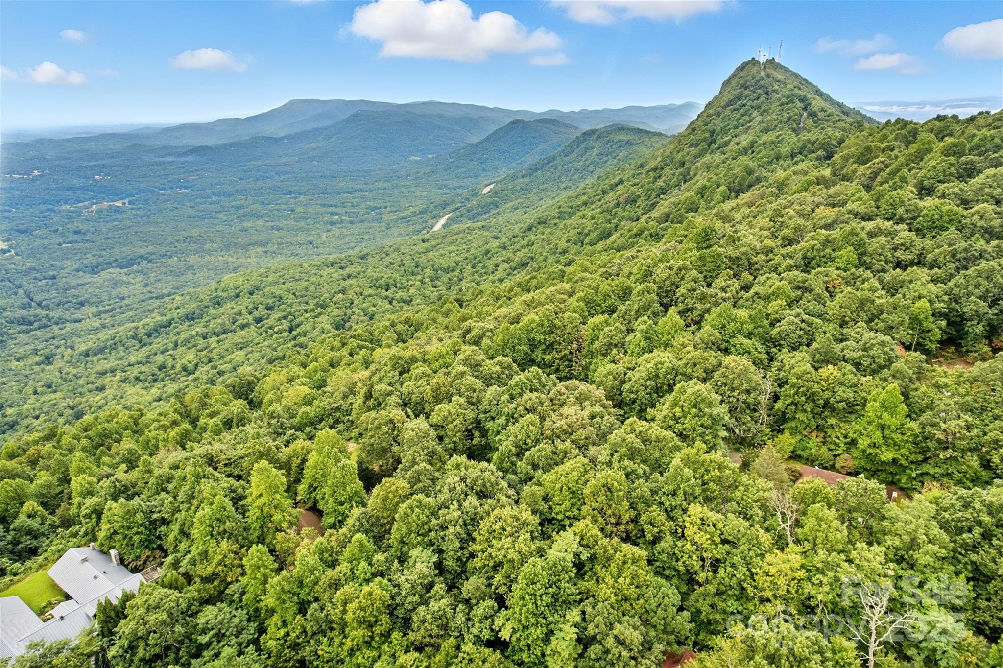 3605 Skyuka Mountain Road Columbus, NC 28722 - Photo 42 of 46 a view of a lush green space with sea