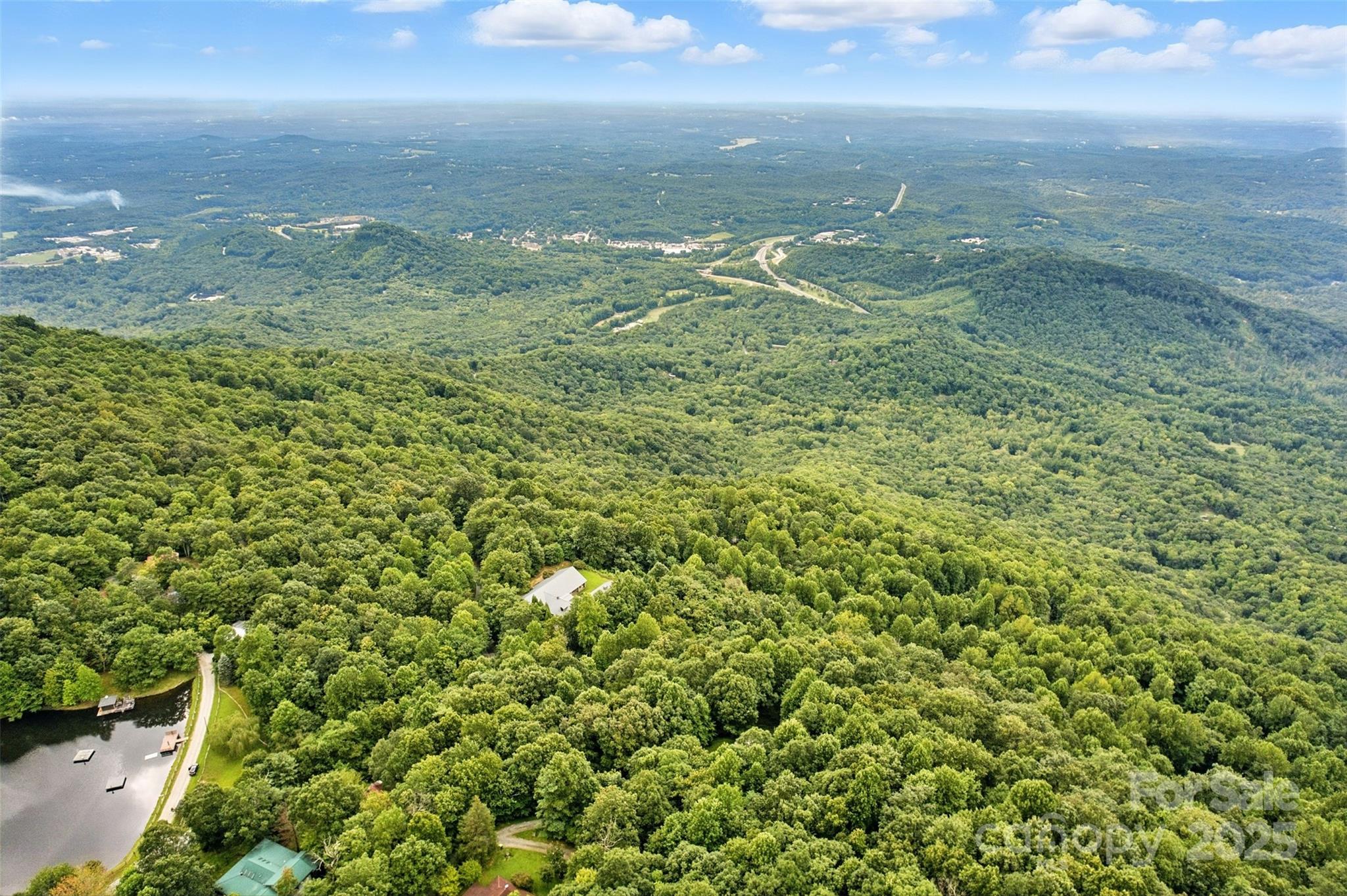 3605 Skyuka Mountain Road Columbus, NC 28722 - Photo 43 of 46 a view of a yard with an outdoor space