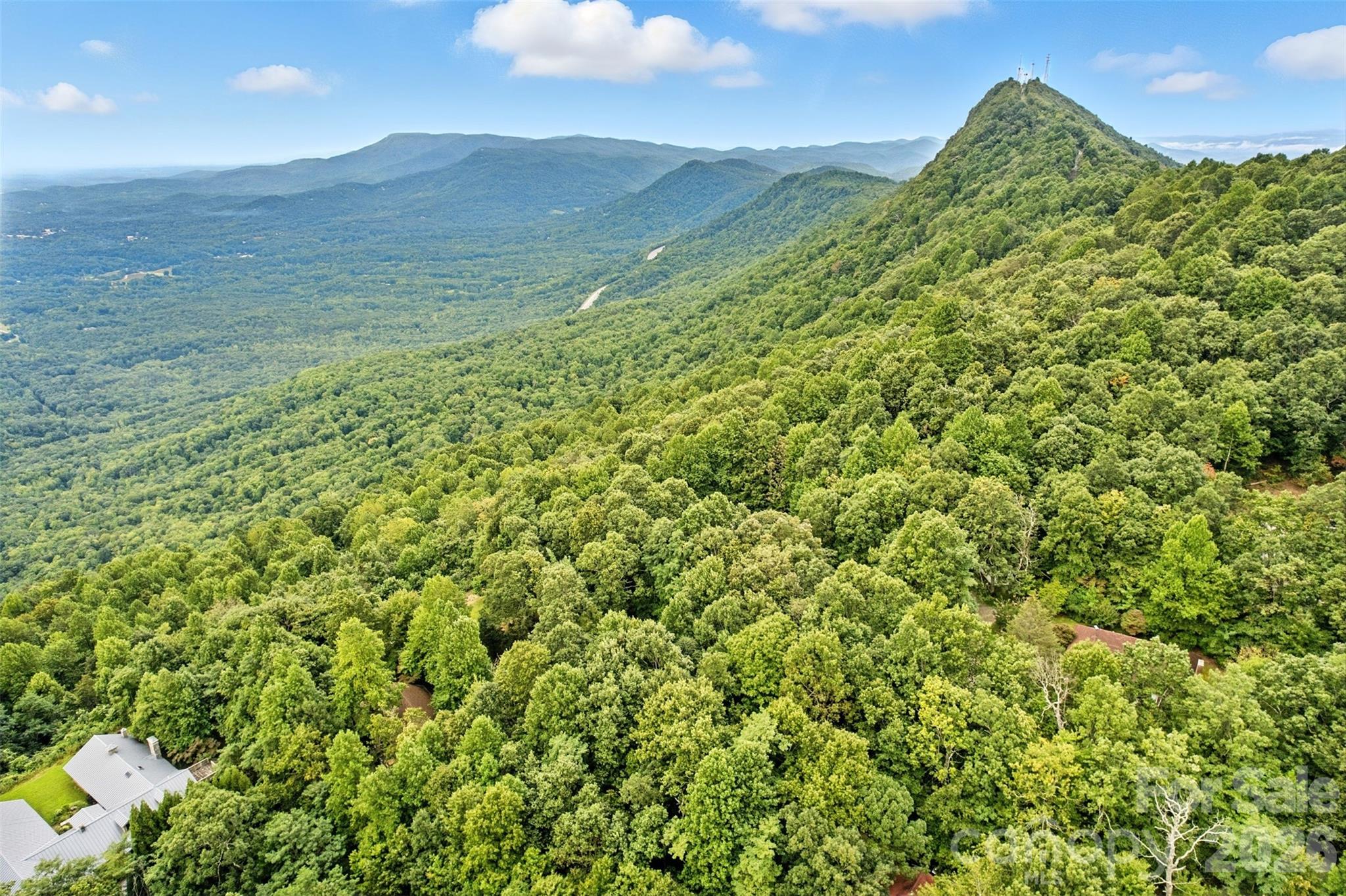 3605 Skyuka Mountain Road Columbus, NC 28722 - Photo 43 of 48 a view of a lush green space with sea