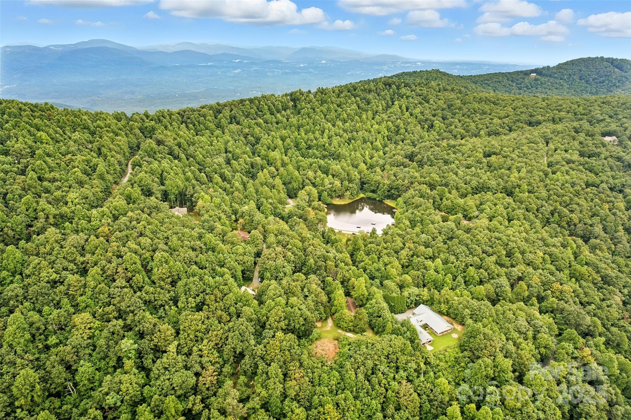 3605 Skyuka Mountain Road Columbus, NC 28722 - Photo 44 of 46 a view of a big yard with lots of bushes