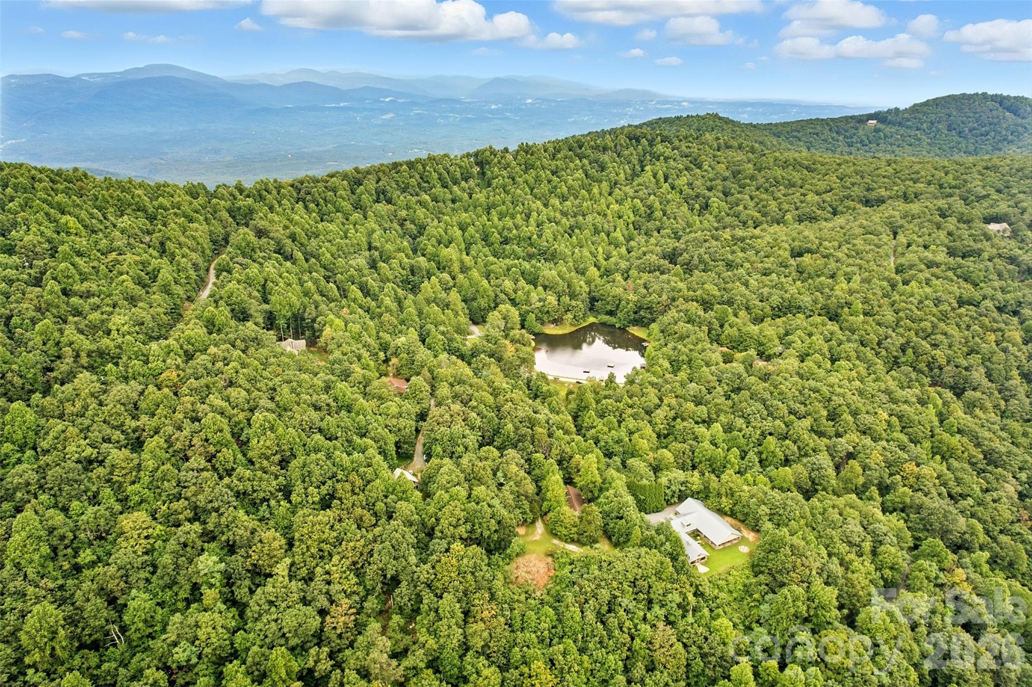 3605 Skyuka Mountain Road Columbus, NC 28722 - Photo 45 of 48