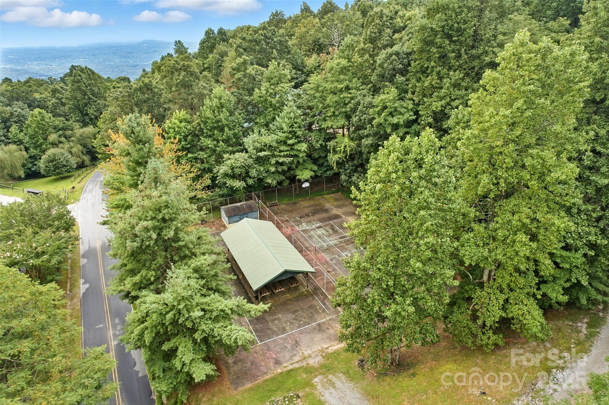 3605 Skyuka Mountain Road Columbus, NC 28722 - Photo 46 of 46 a view of a yard with plants and wooden fence