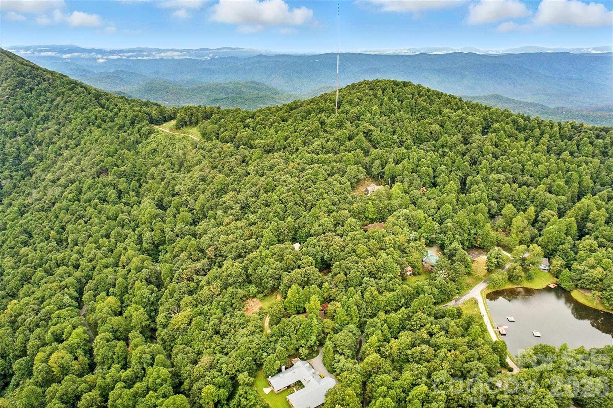 3605 Skyuka Mountain Road Columbus, NC 28722 - Photo 46 of 48 a view of a large yard with lots of green space