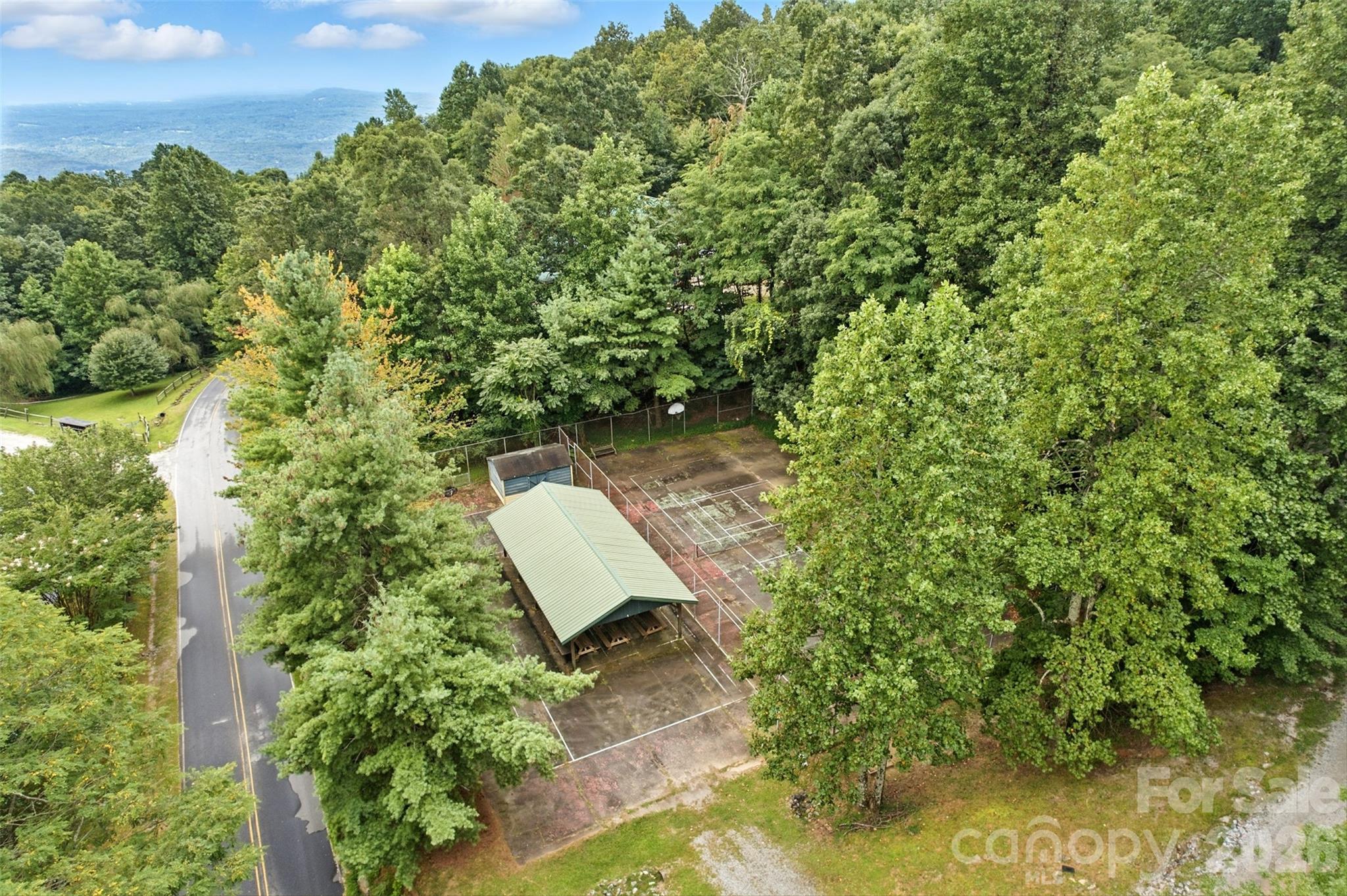 3605 Skyuka Mountain Road Columbus, NC 28722 - Photo 47 of 48 a view of a yard with plants and wooden fence