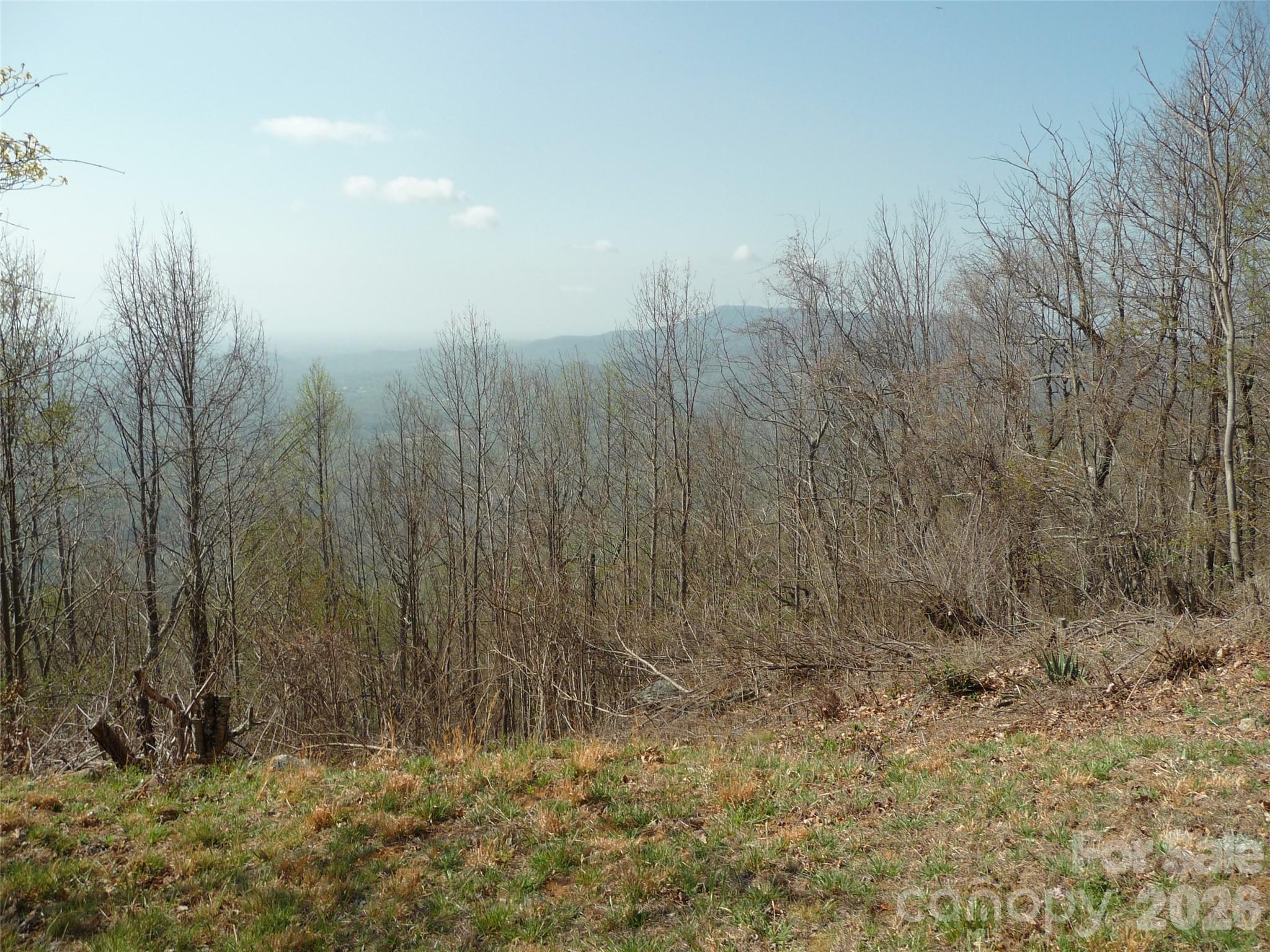 3605 Skyuka Mountain Road Columbus, NC 28722 - Photo 48 of 48