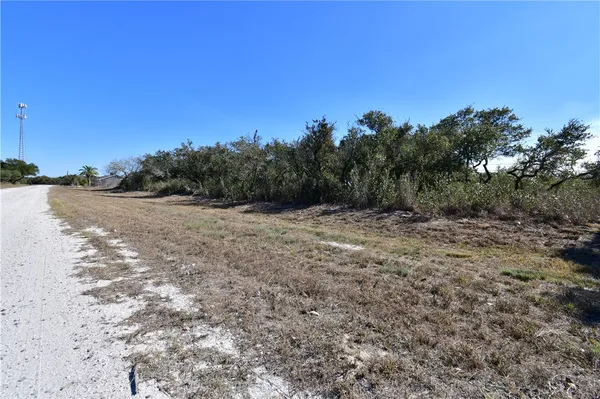 a view of a field with trees in the background