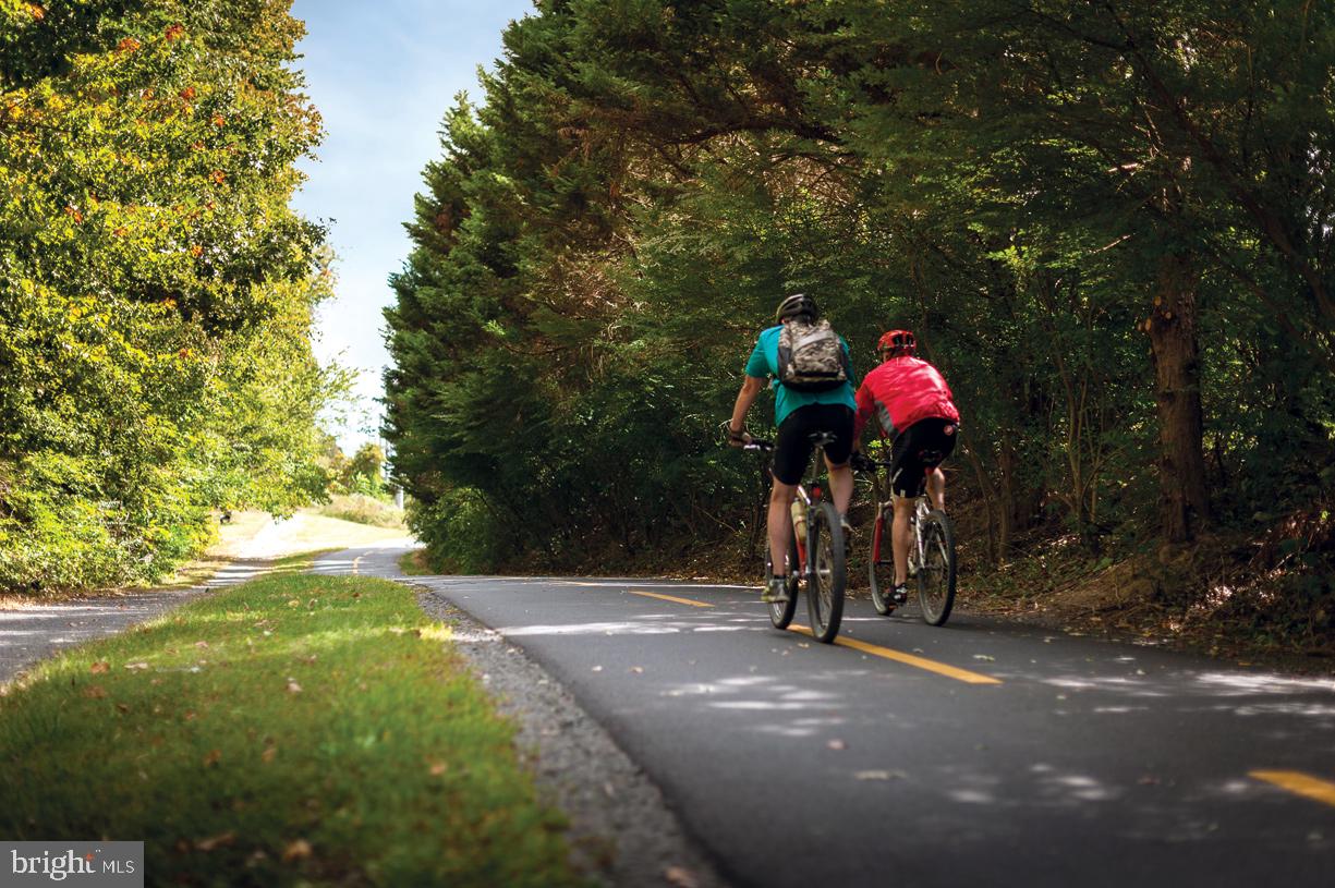 1960 Roland Clarke Place Reston, VA 20191 - Photo 11 of 16 45 mile long, fully paved, W&OD Trail