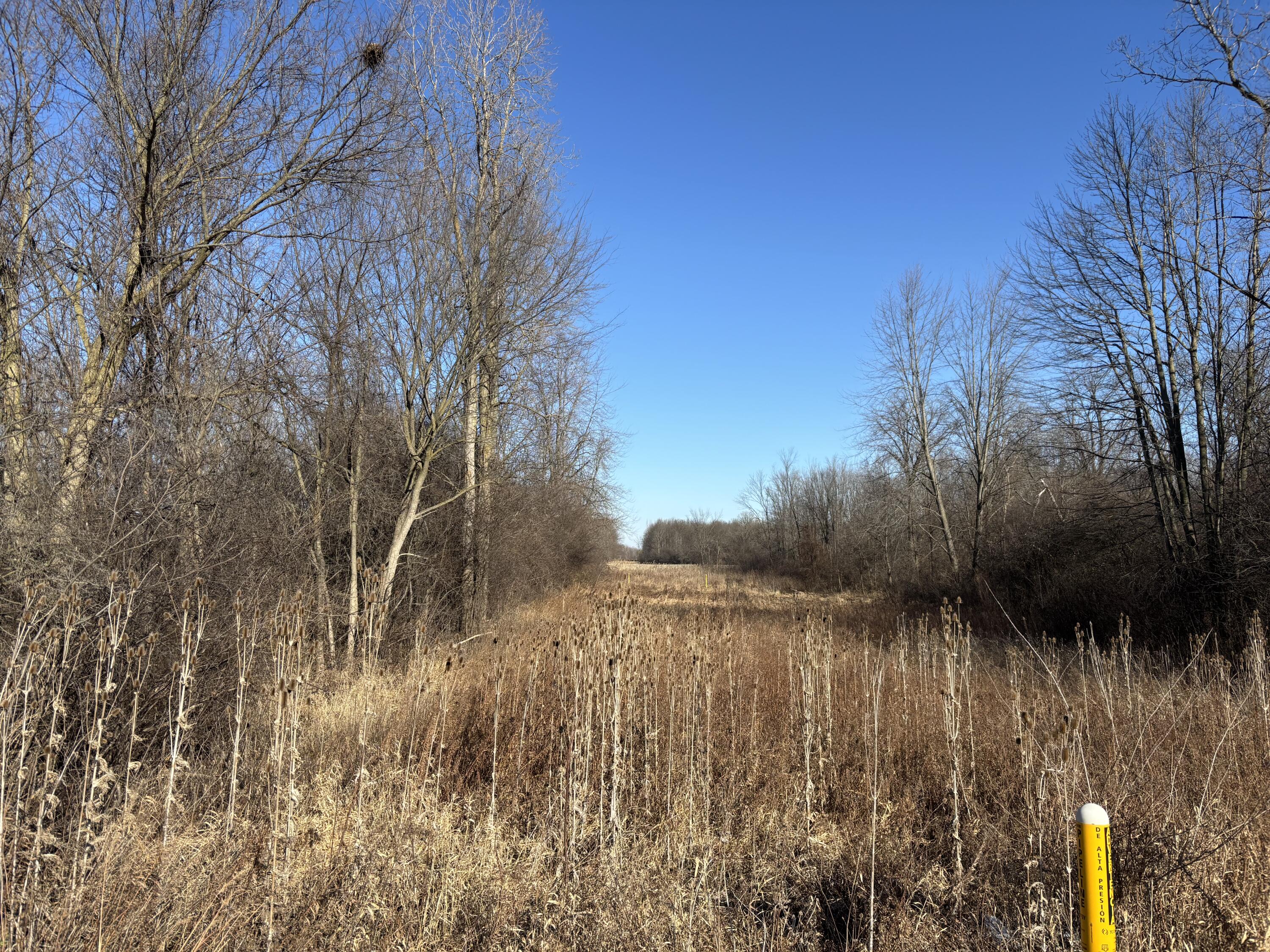 7015 Merritt Road Ypsilanti, MI 48197 - Photo 13 of 13 IMG_8227