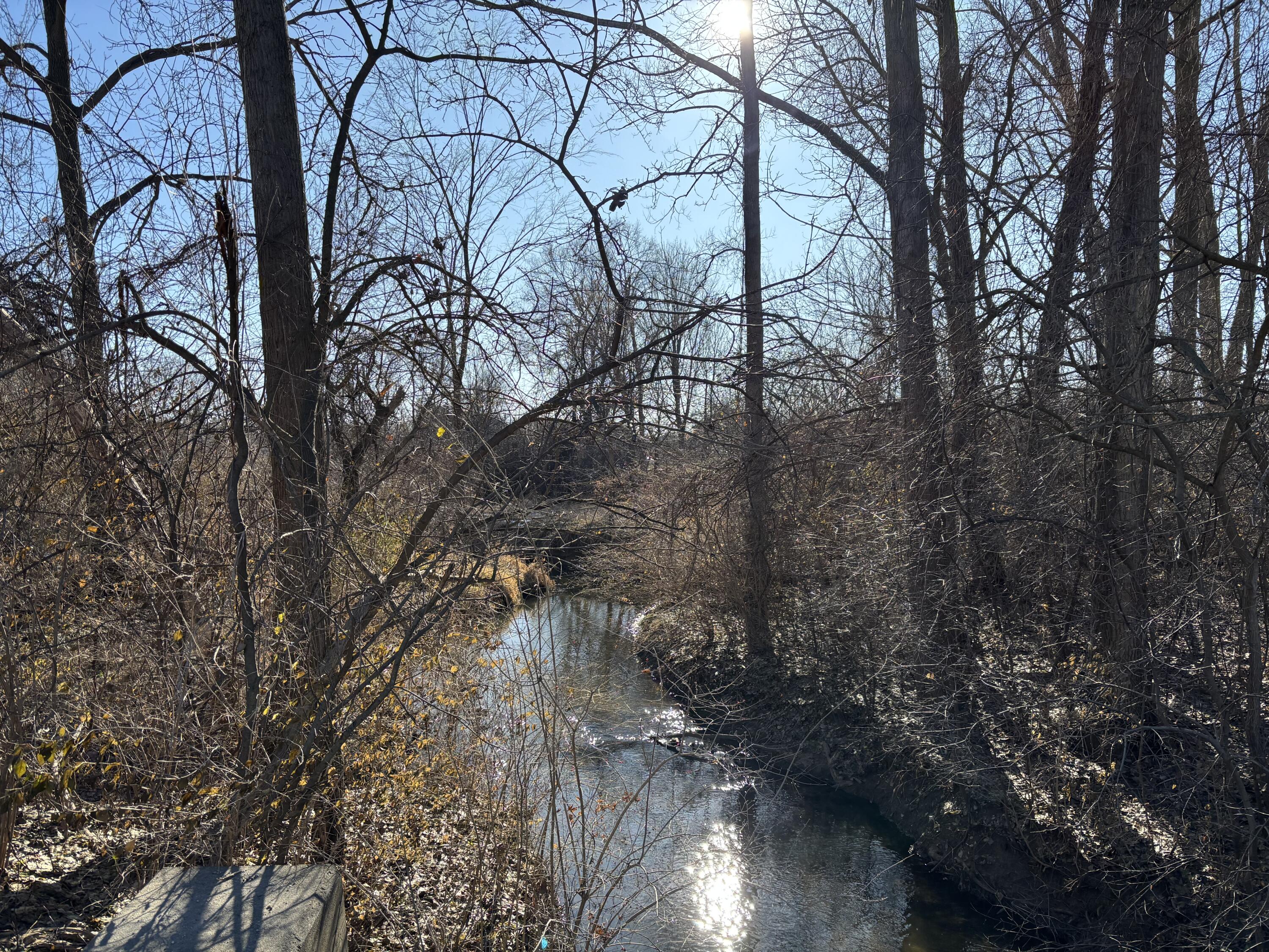 7015 Merritt Road Ypsilanti, MI 48197 - Photo 6 of 13 IMG_8233