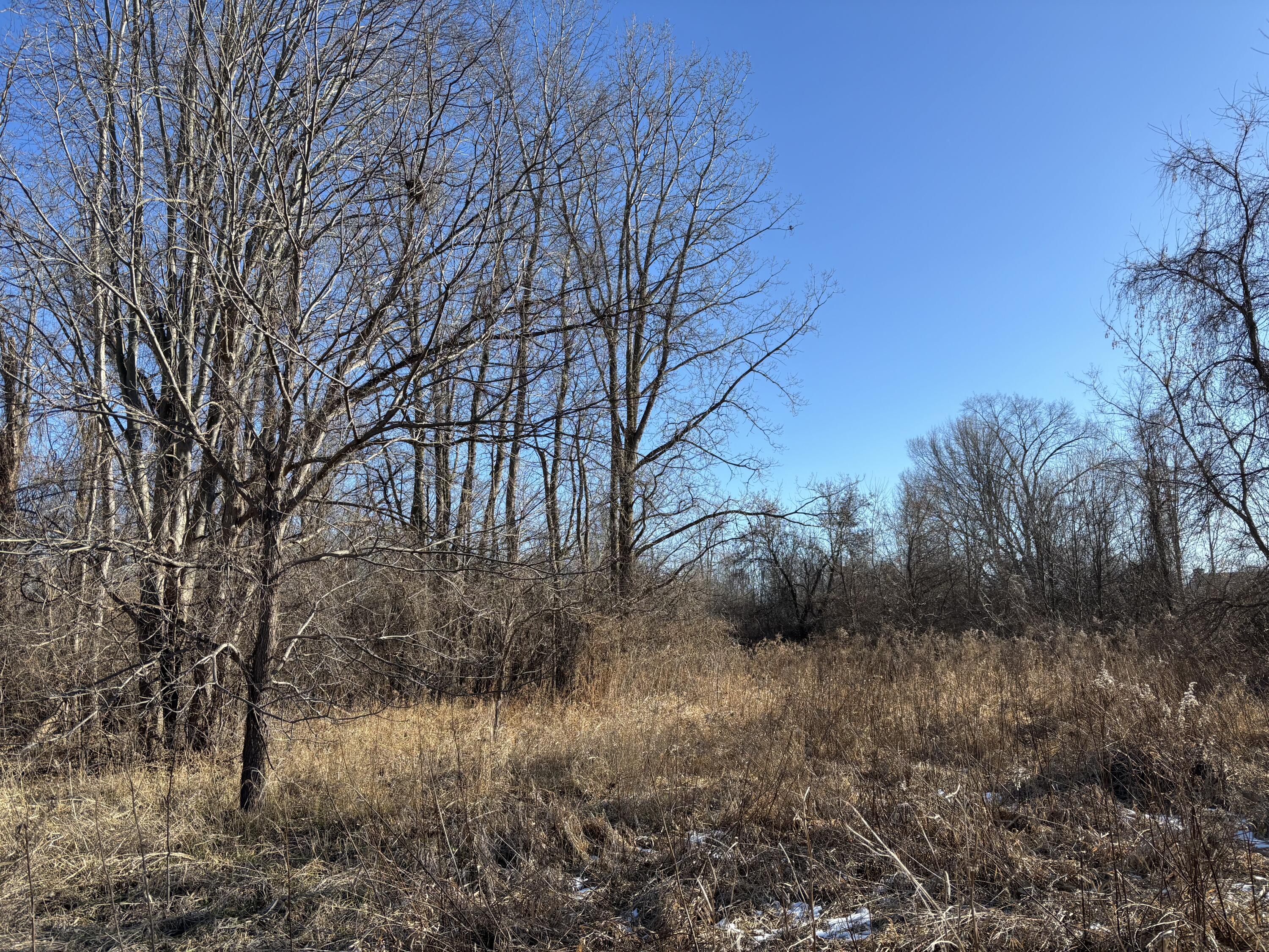 7015 Merritt Road Ypsilanti, MI 48197 - Photo 8 of 13 IMG_8238