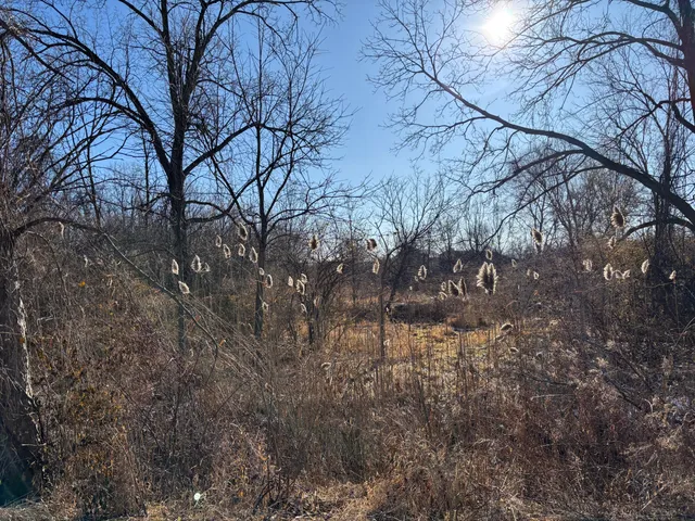 $60,000 | 7015 Merritt Road, Ypsilanti, MI 48197