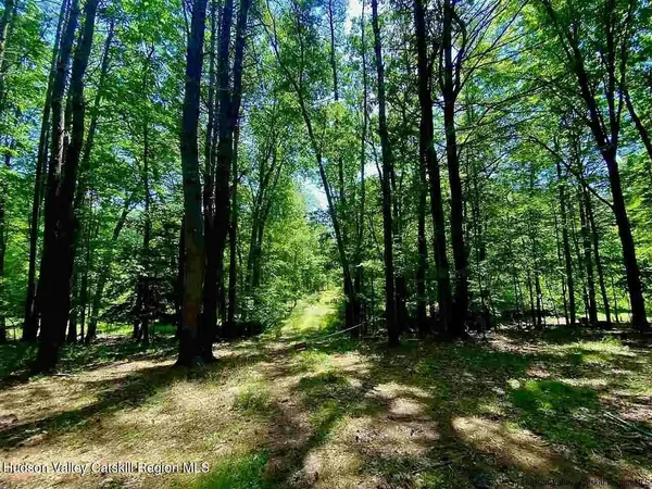 $1,750,000 | Tbd Tbd Mulberry Lane, Woodstock, NY 12401