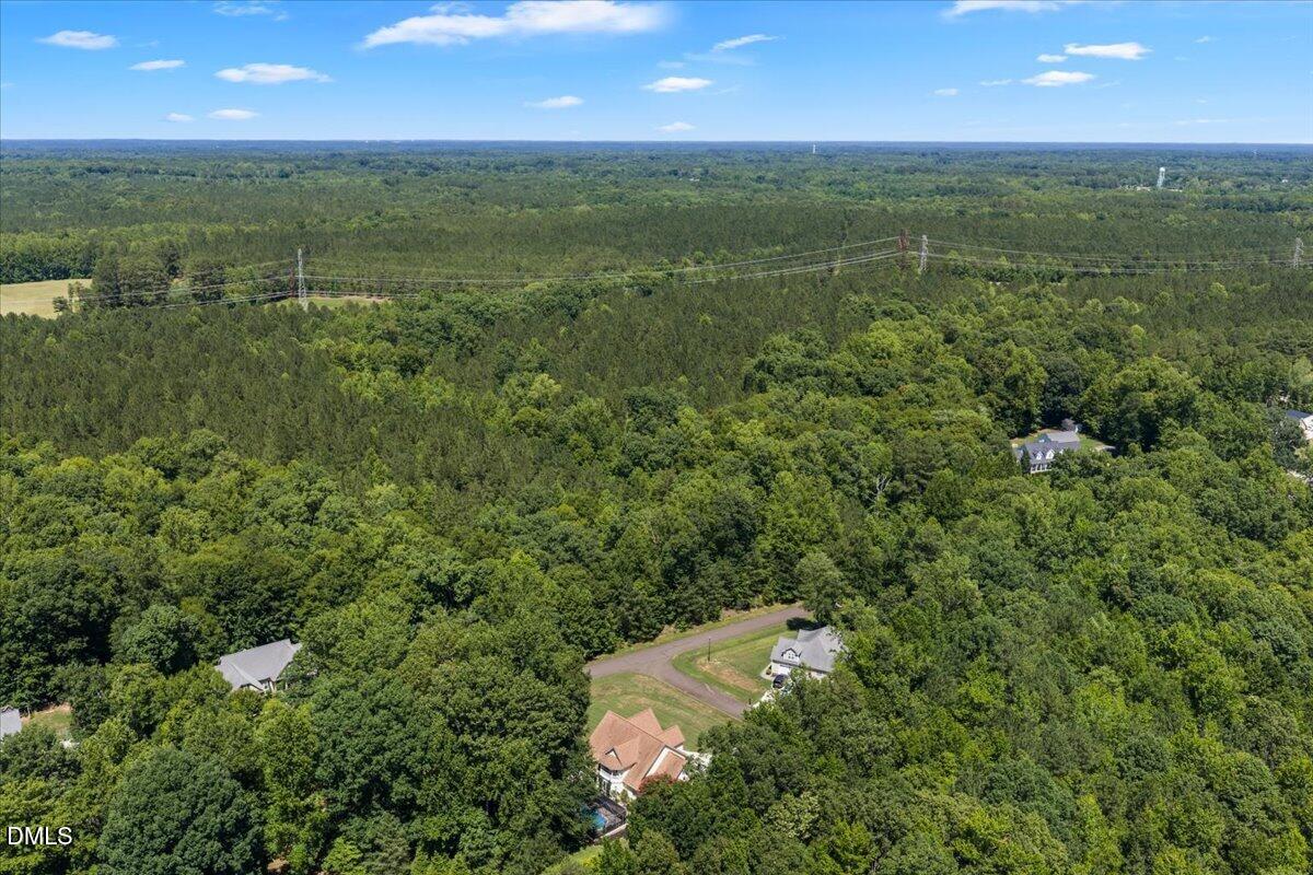 1084 Whip Lane Stem, NC 27581 - Photo 49 of 52 Drone back