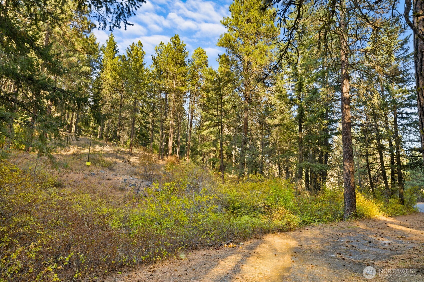 15-xx Elk Heights Road Cle Elum, WA 98922 - Photo 1 of 22 a view of outdoor space and a yard