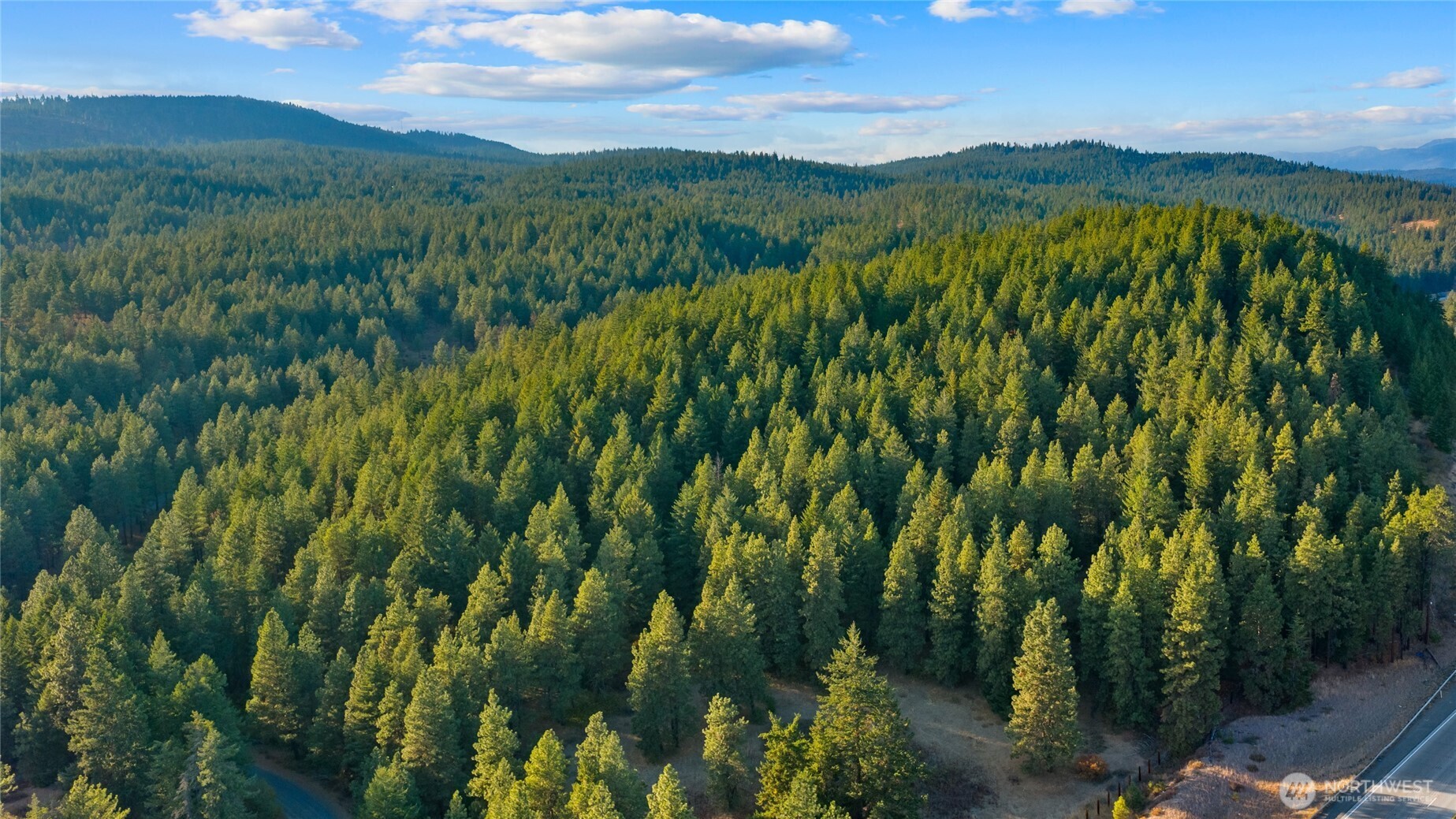 15-xx Elk Heights Road Cle Elum, WA 98922 - Photo 14 of 22 a view of a lush green forest with a houses