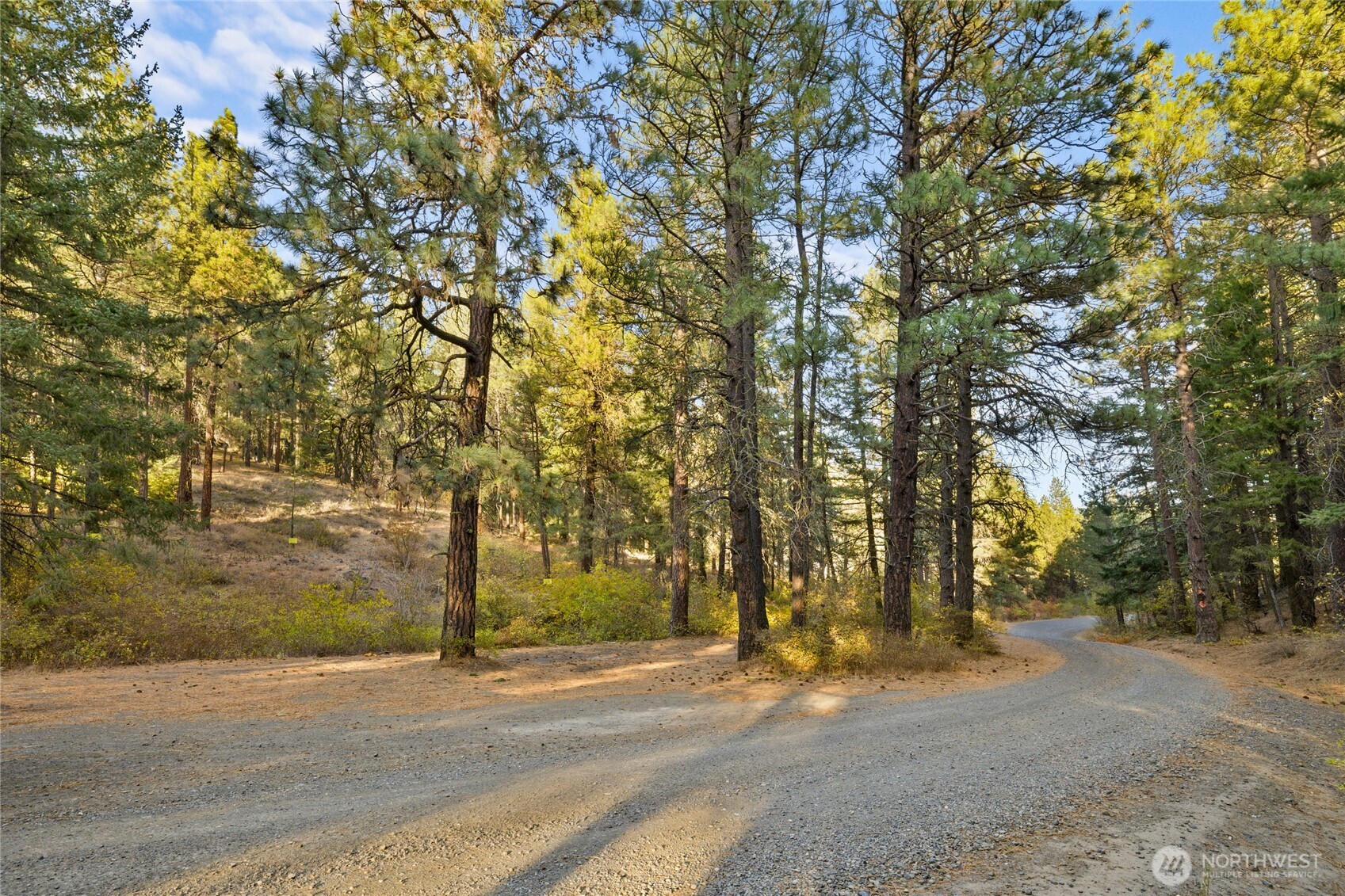 15-xx Elk Heights Road Cle Elum, WA 98922 - Photo 3 of 22 a view of road and trees
