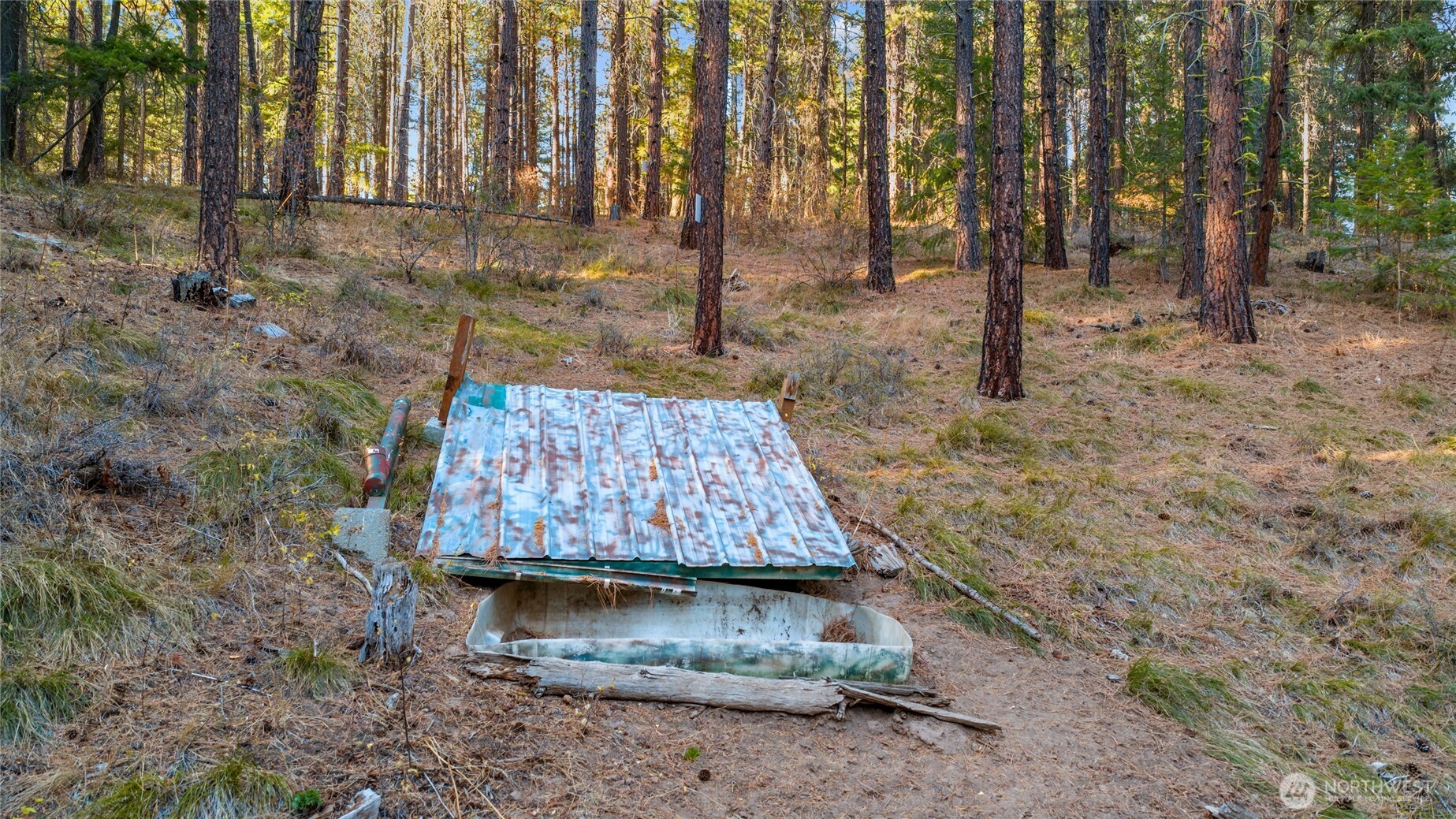 15-xx Elk Heights Road Cle Elum, WA 98922 - Photo 5 of 22 a backyard of a house with lots of green space