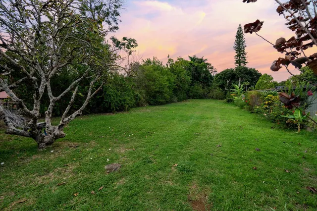 a view of a green field with a tree