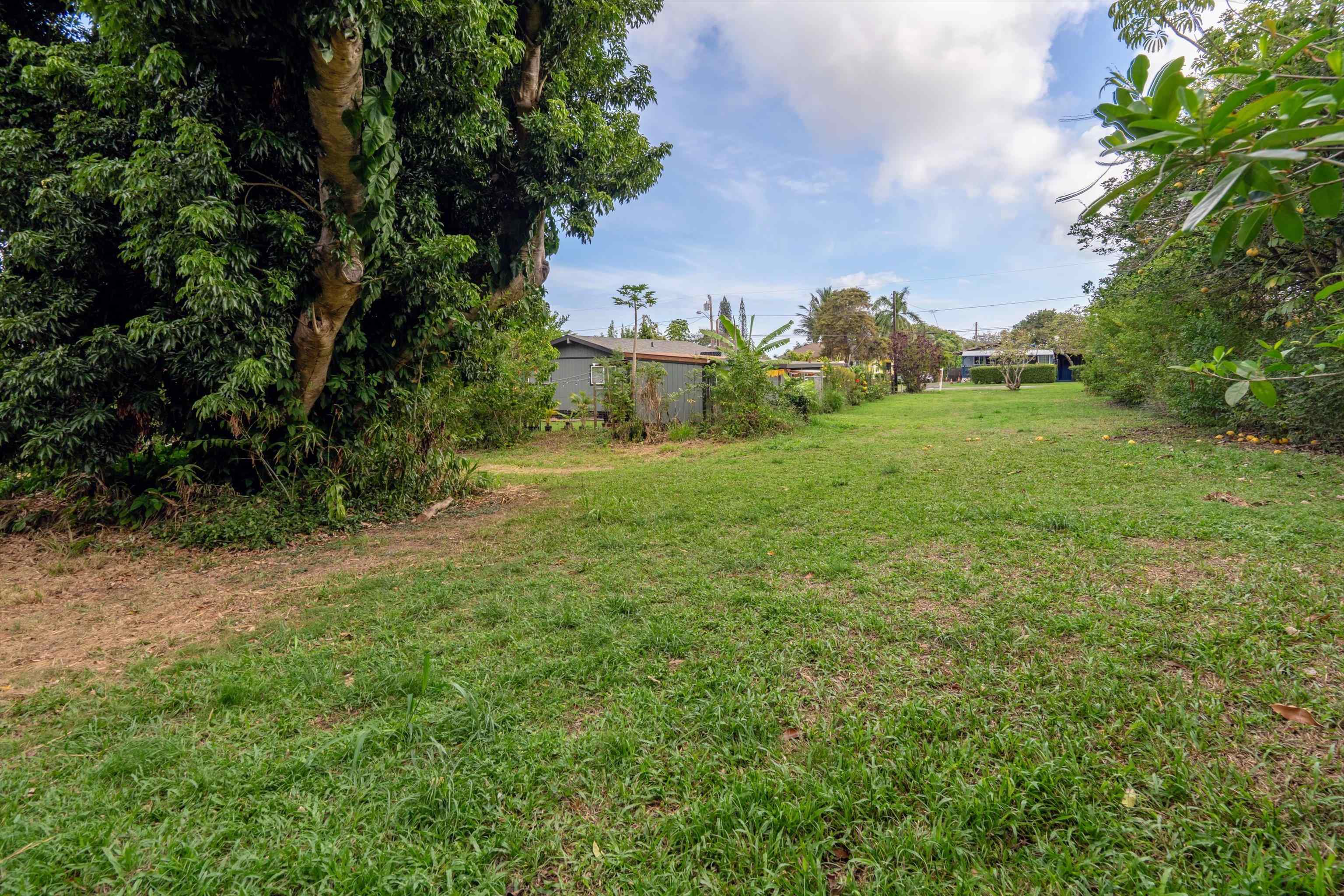 1706 Haiku Road Haiku, HI 96708 - Photo 20 of 28 a view of a big yard with plants and large trees