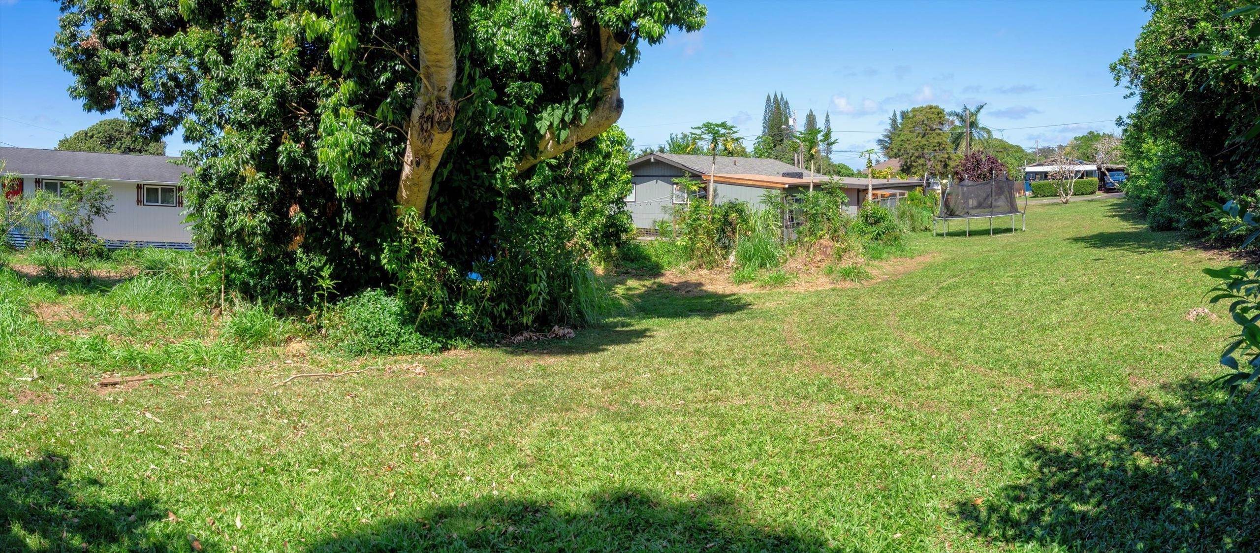 1706 Haiku Road Haiku, HI 96708 - Photo 22 of 28 a view of a yard