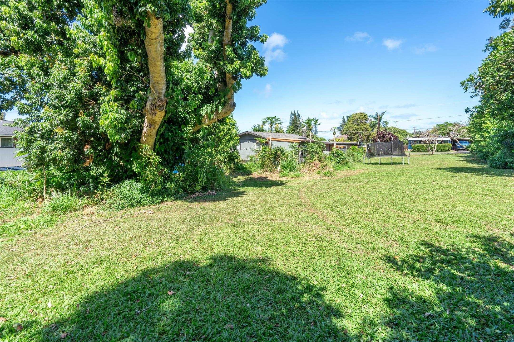 1706 Haiku Road Haiku, HI 96708 - Photo 23 of 28 a backyard of a house with lots of green space