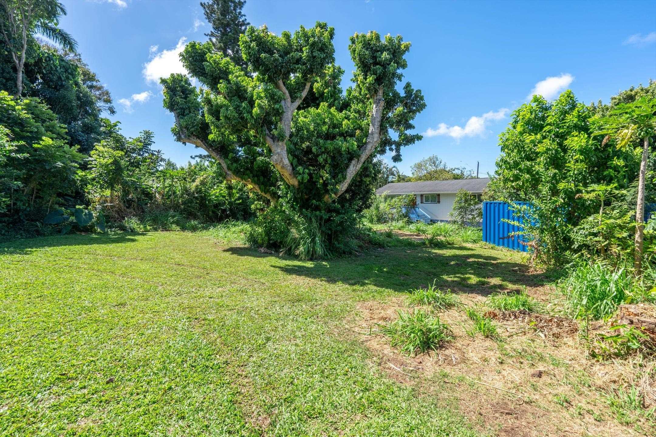 1706 Haiku Road Haiku, HI 96708 - Photo 24 of 28 a view of yard with green space