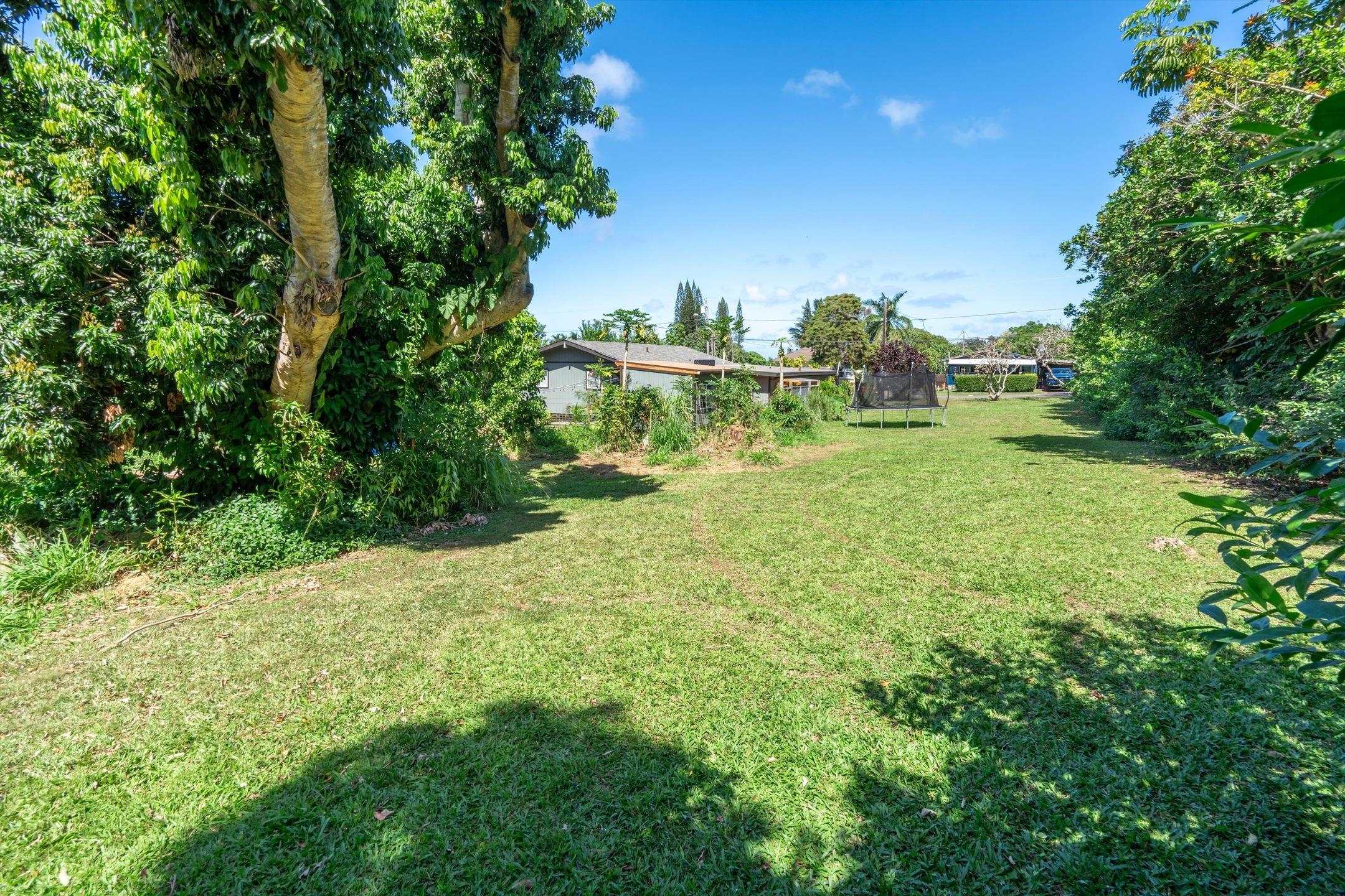 1706 Haiku Road Haiku, HI 96708 - Photo 25 of 28 a backyard of a house with lots of green space