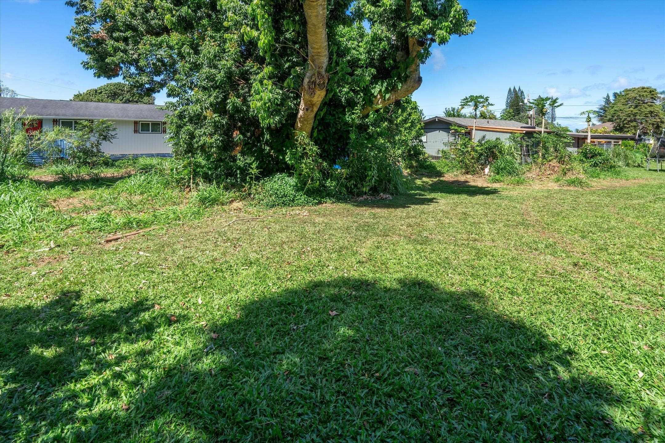 1706 Haiku Road Haiku, HI 96708 - Photo 26 of 28 a view of a garden