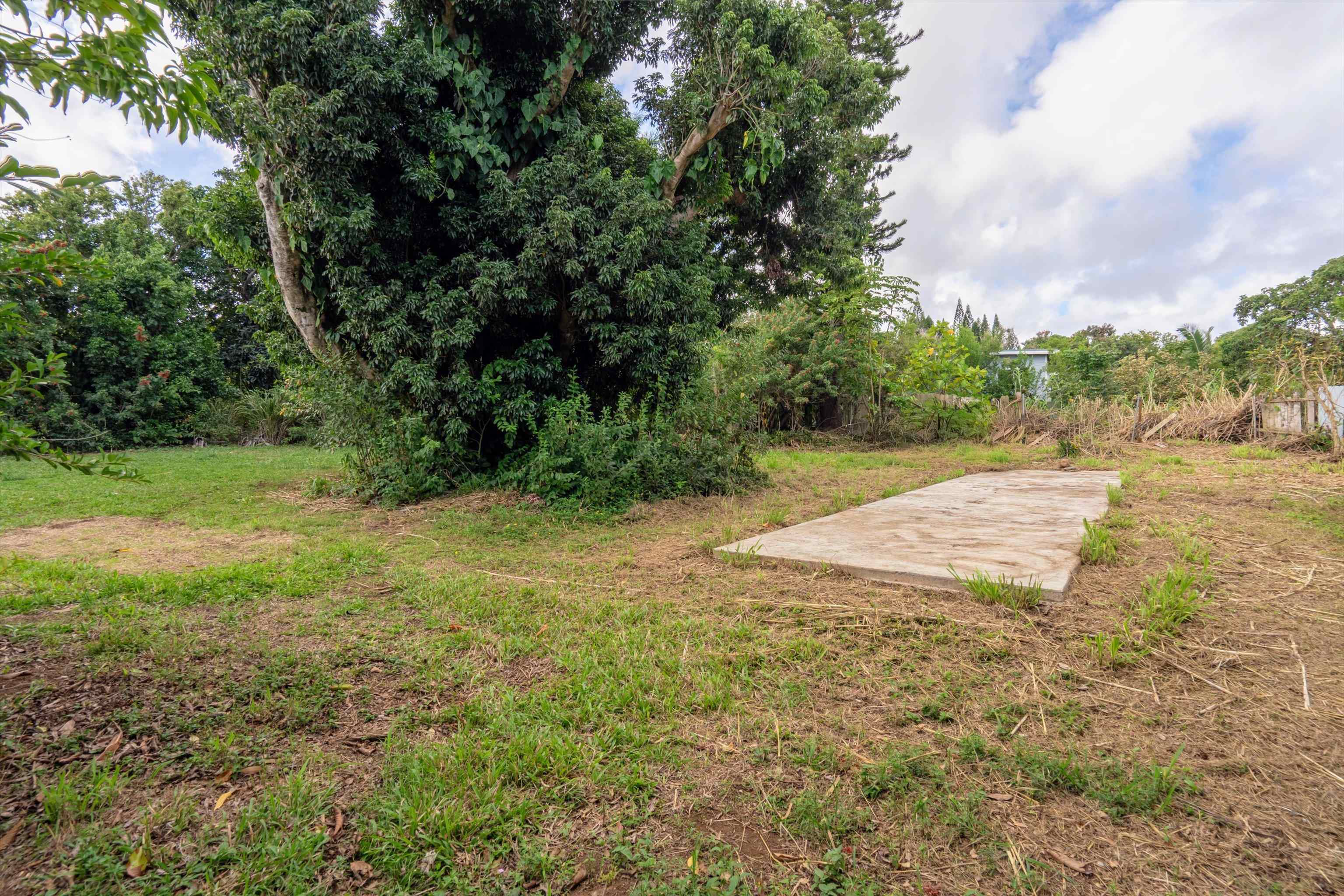 1706 Haiku Road Haiku, HI 96708 - Photo 7 of 28 a view of a yard with plants and trees