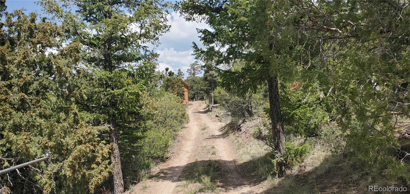 49547 Cordova Road Fort Garland, CO 81133 - Photo 21 of 24 Gallery Image 21