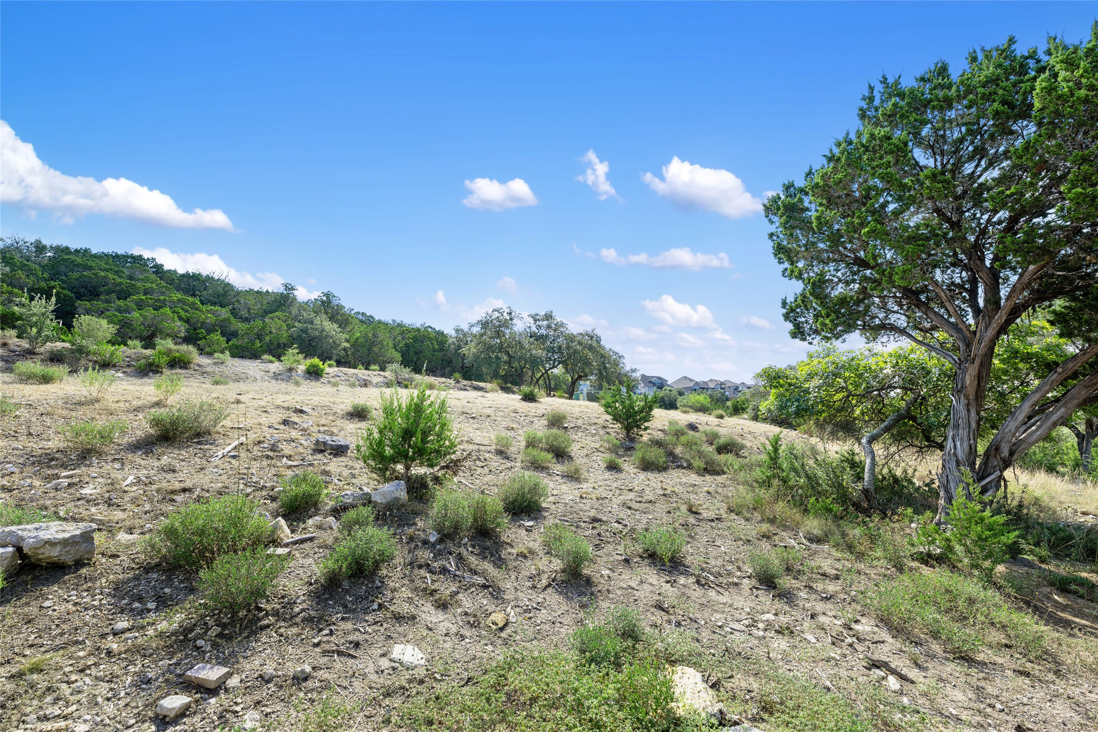 2804 Lakehurst Road Spicewood, TX 78669 - Photo 6 of 18