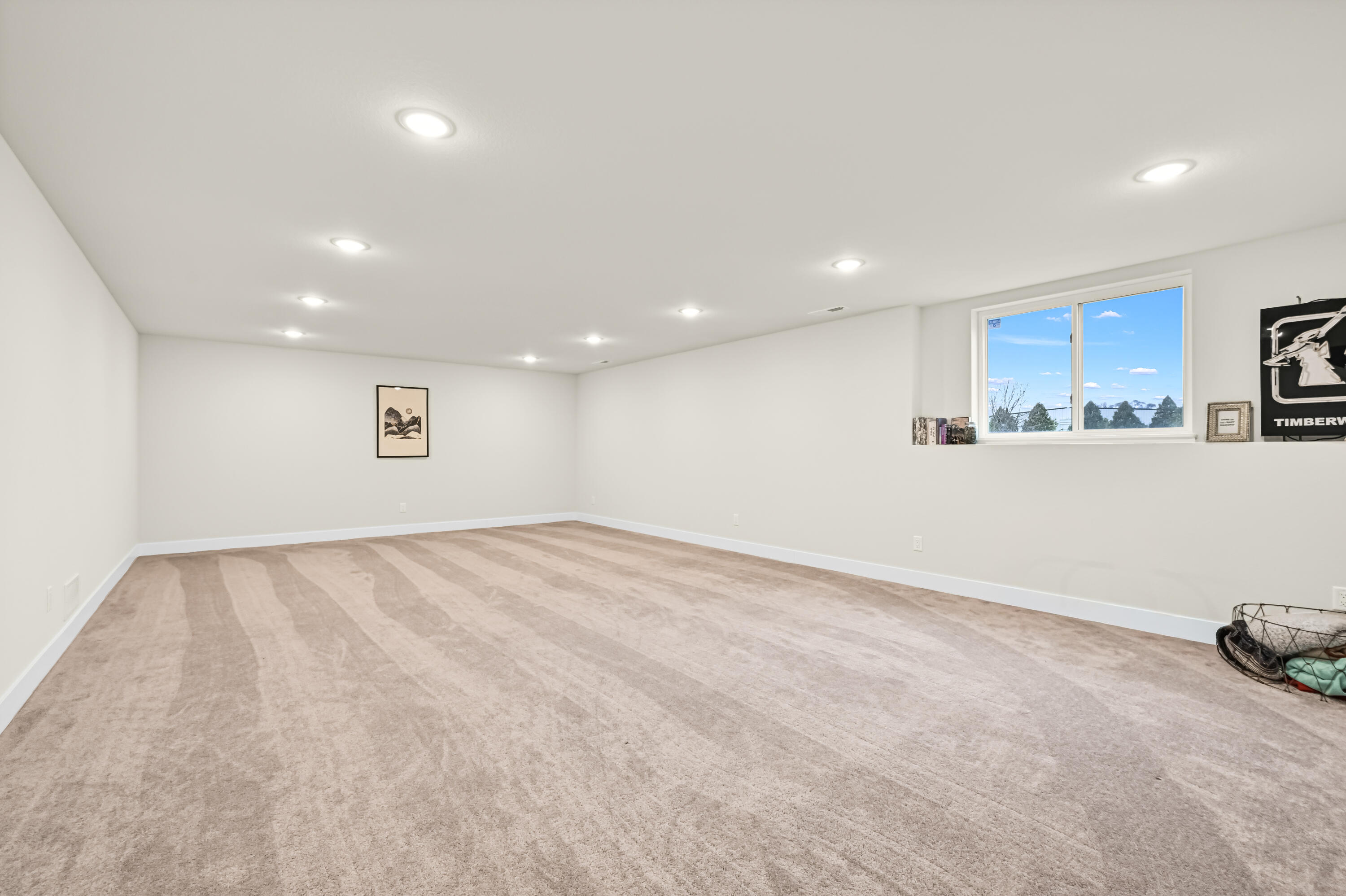 704 River Ridge Drive Waterford, WI 53185 - Photo 28 of 35 DSC_1 (21)