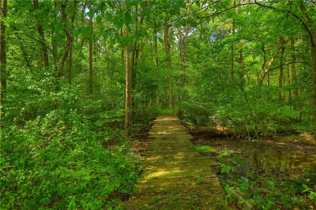 2749 Frew Mill Road New Castle, PA 16101 - Photo 17 of 18 a view of back yard