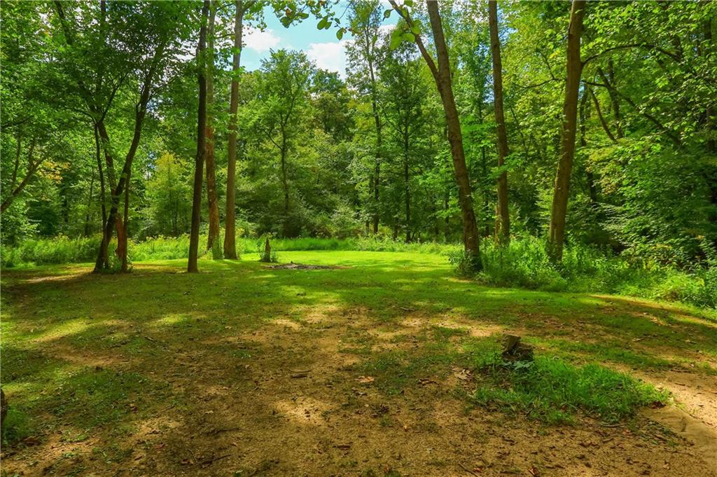 2749 Frew Mill Road New Castle, PA 16101 - Photo 18 of 18 a view of a trees in a yard