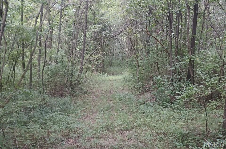 0 Silver Creek Road Alhambra, IL 62001 - Photo 6 of 32 Gallery Image 6