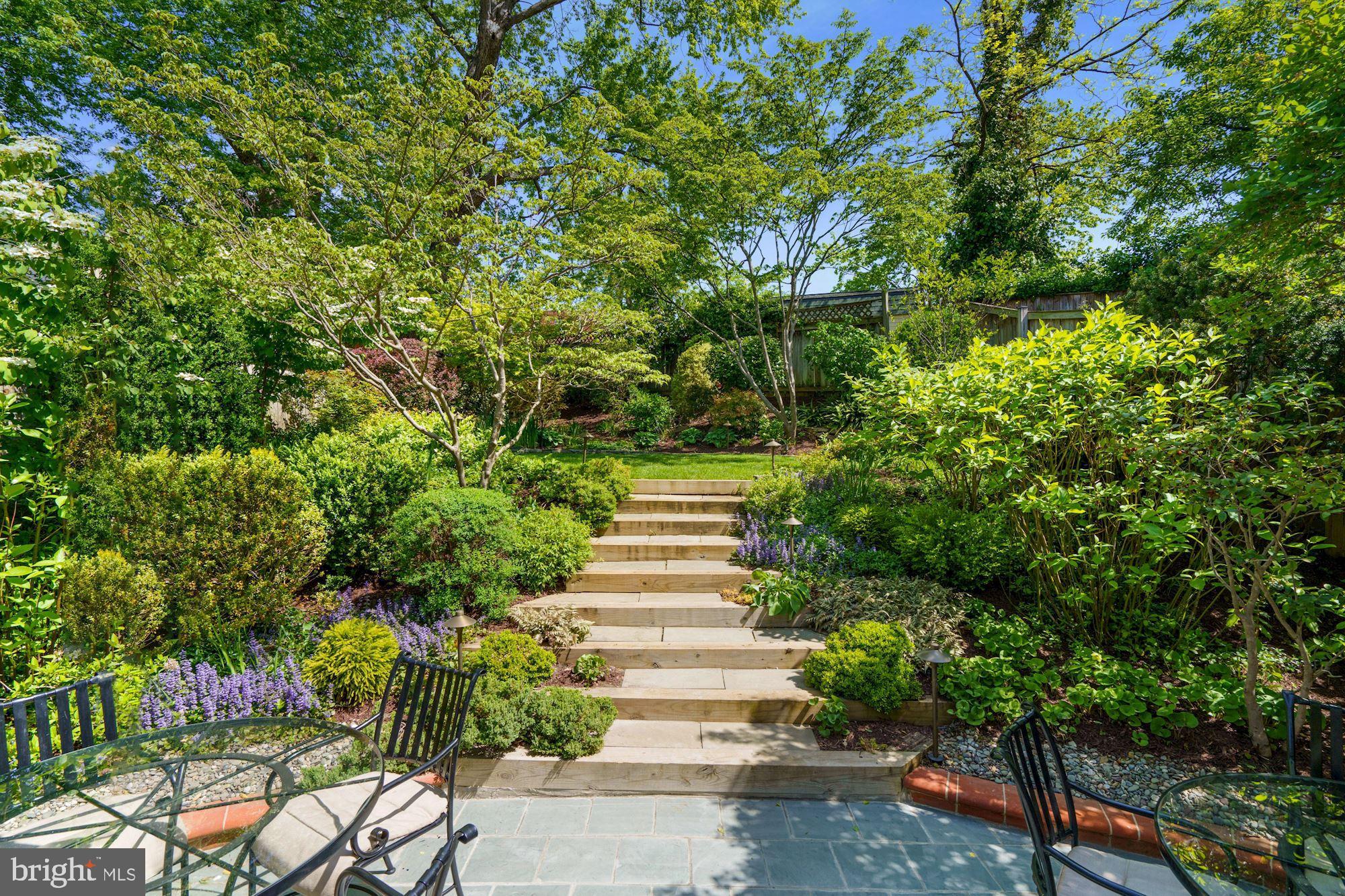 4517 Clark Place Northwest Washington, DC 20007 - Photo 24 of 28 Stairs lead to Manicured Garden