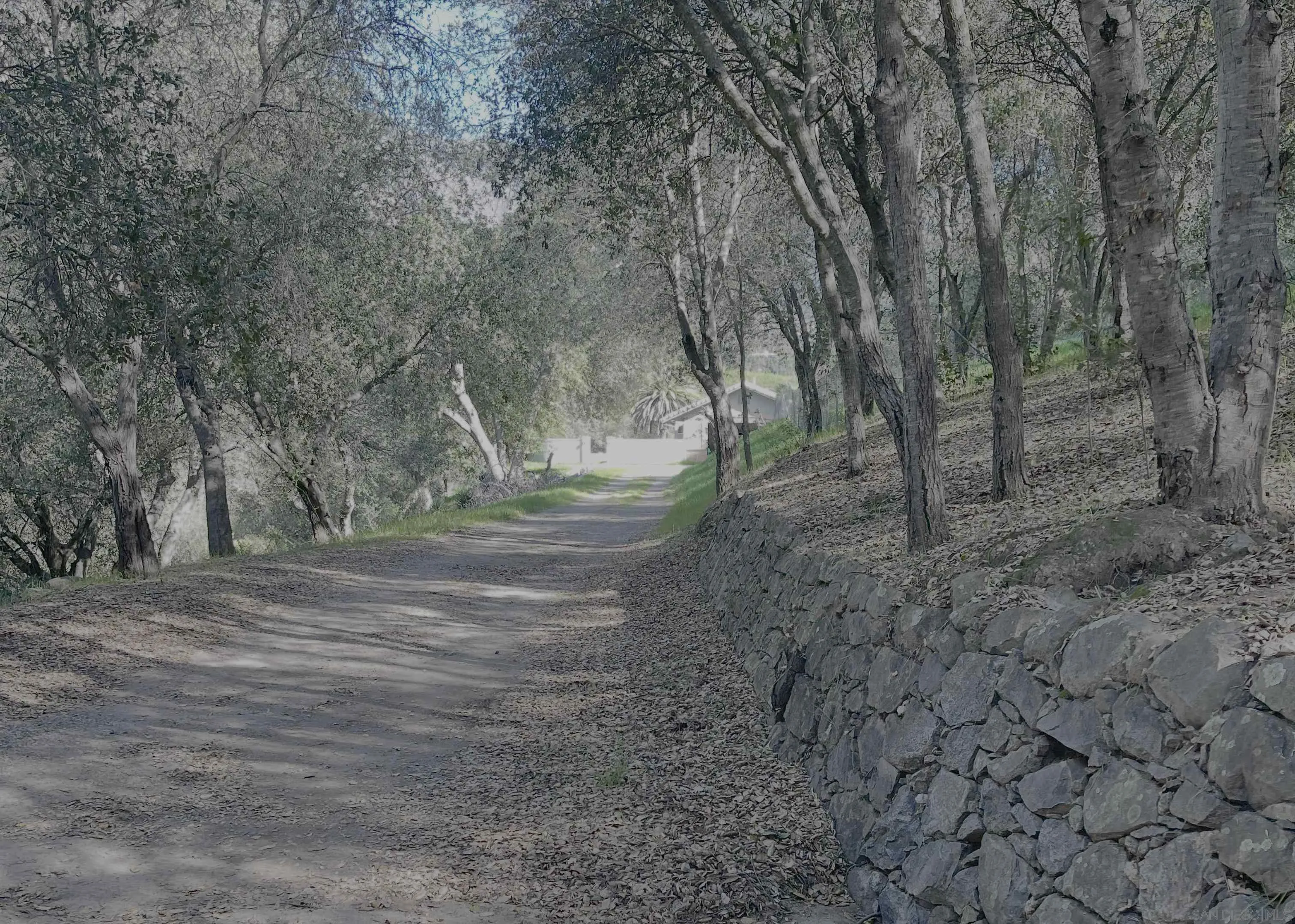 32906 Rincon Rancho Road Pauma Valley, CA 92061 - Photo 15 of 15 a view of dirt yard with trees
